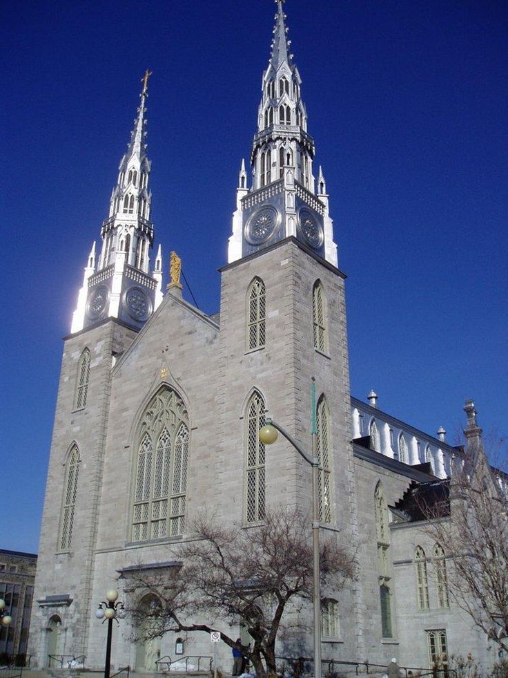 Notre-Dame Cathedral Basilica Wallpapers