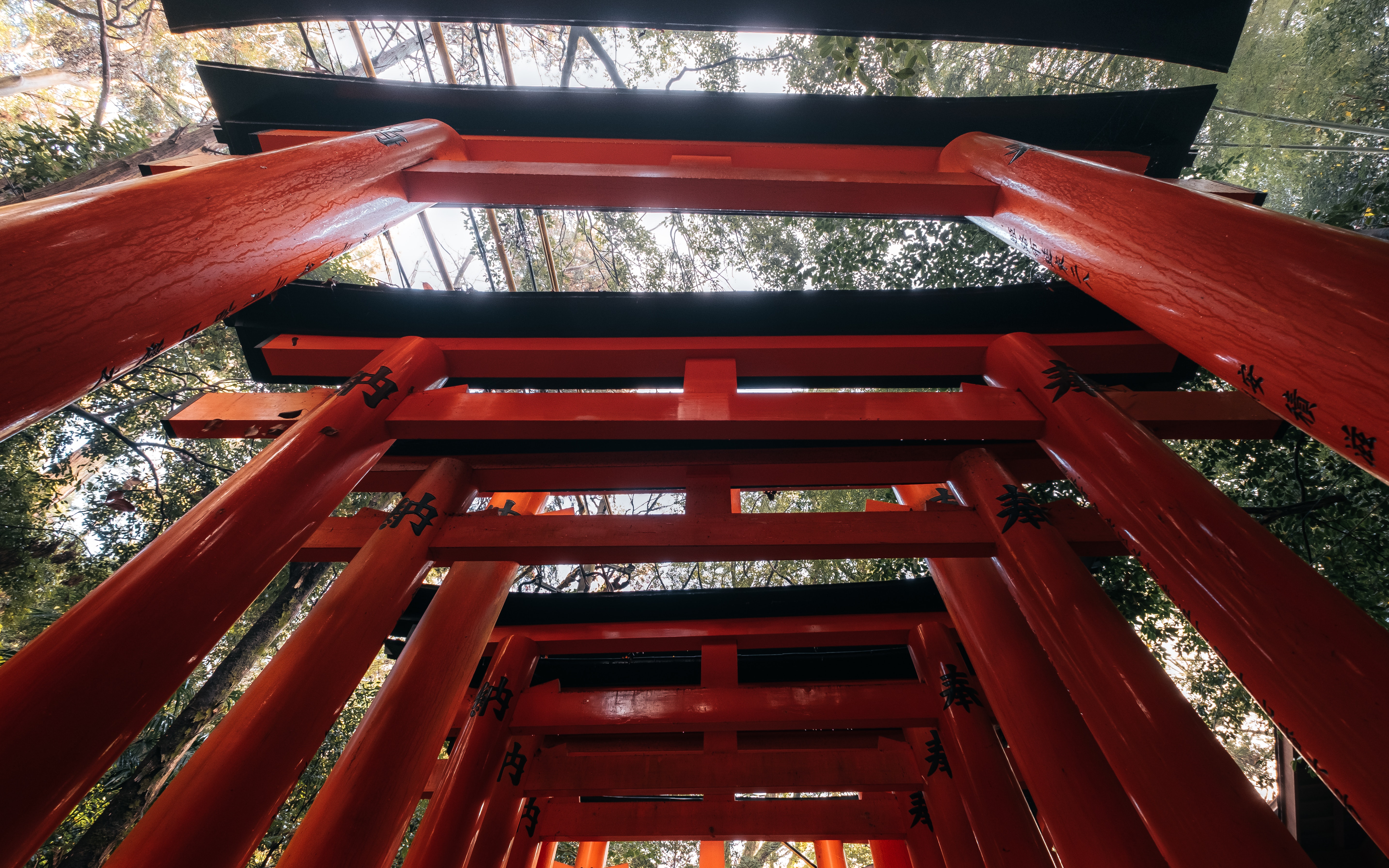 Torii Gate Wallpapers