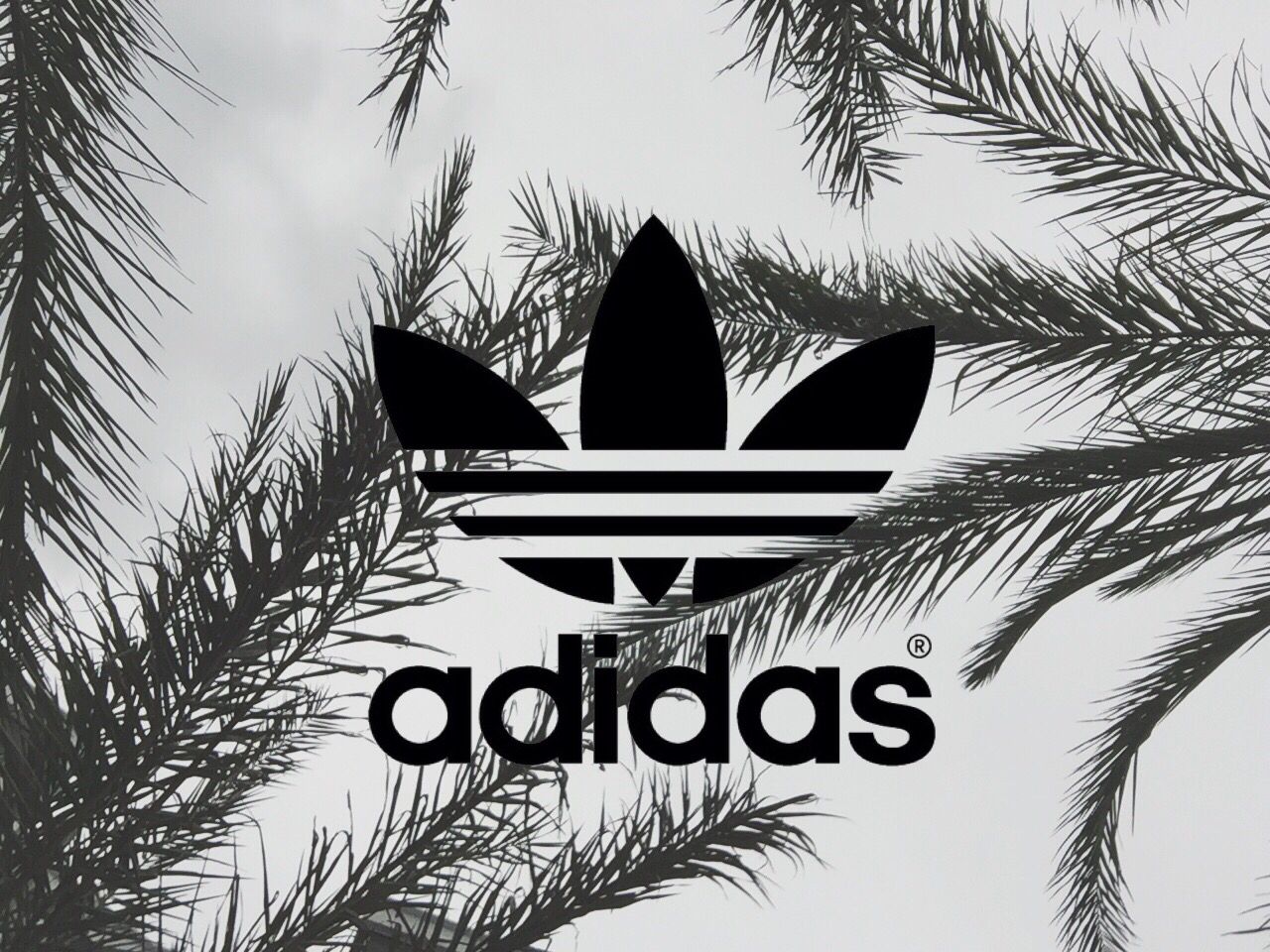 Adidas Tumblr Computer Wallpapers