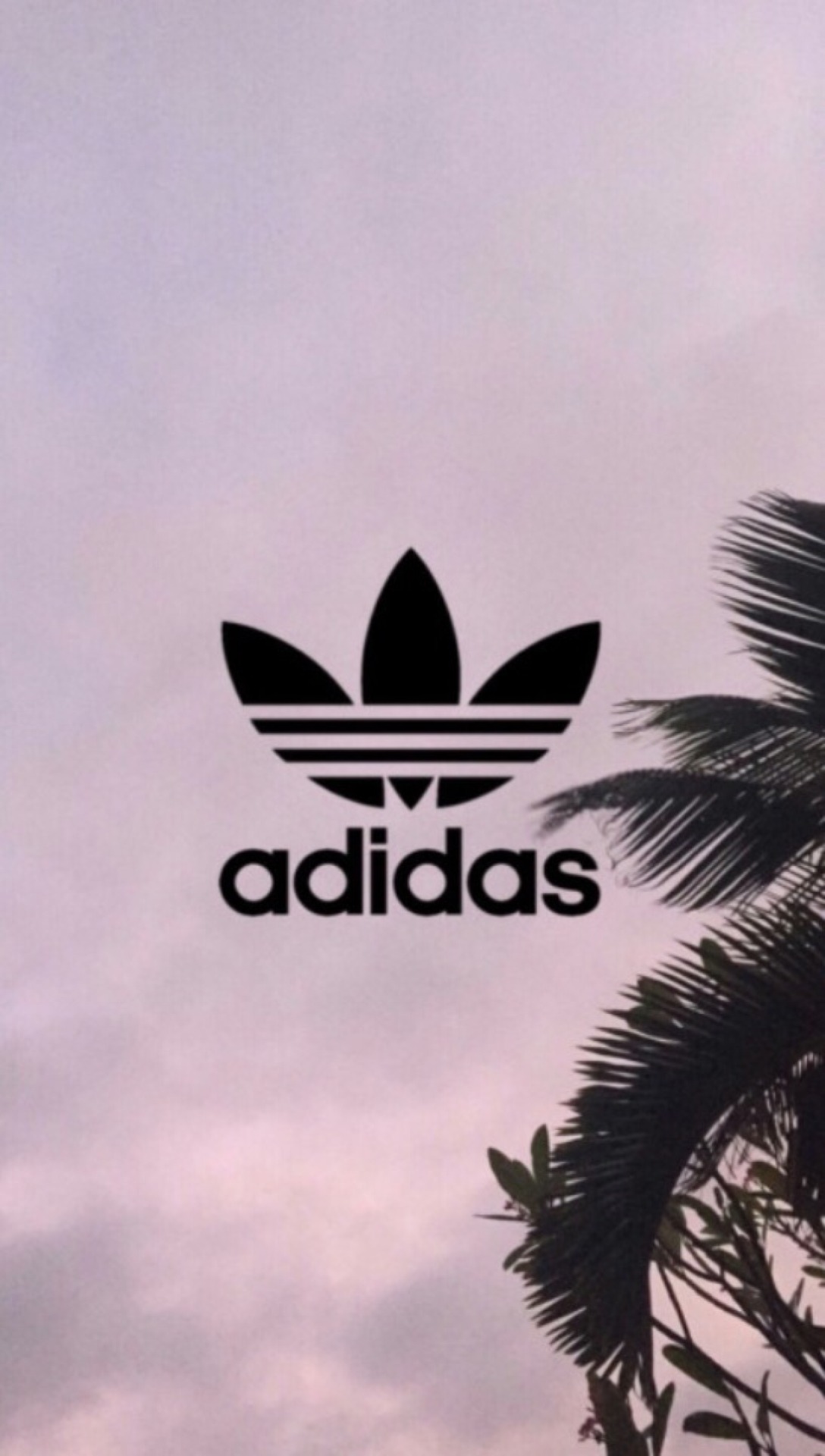 Adidas Tumblr Computer Wallpapers