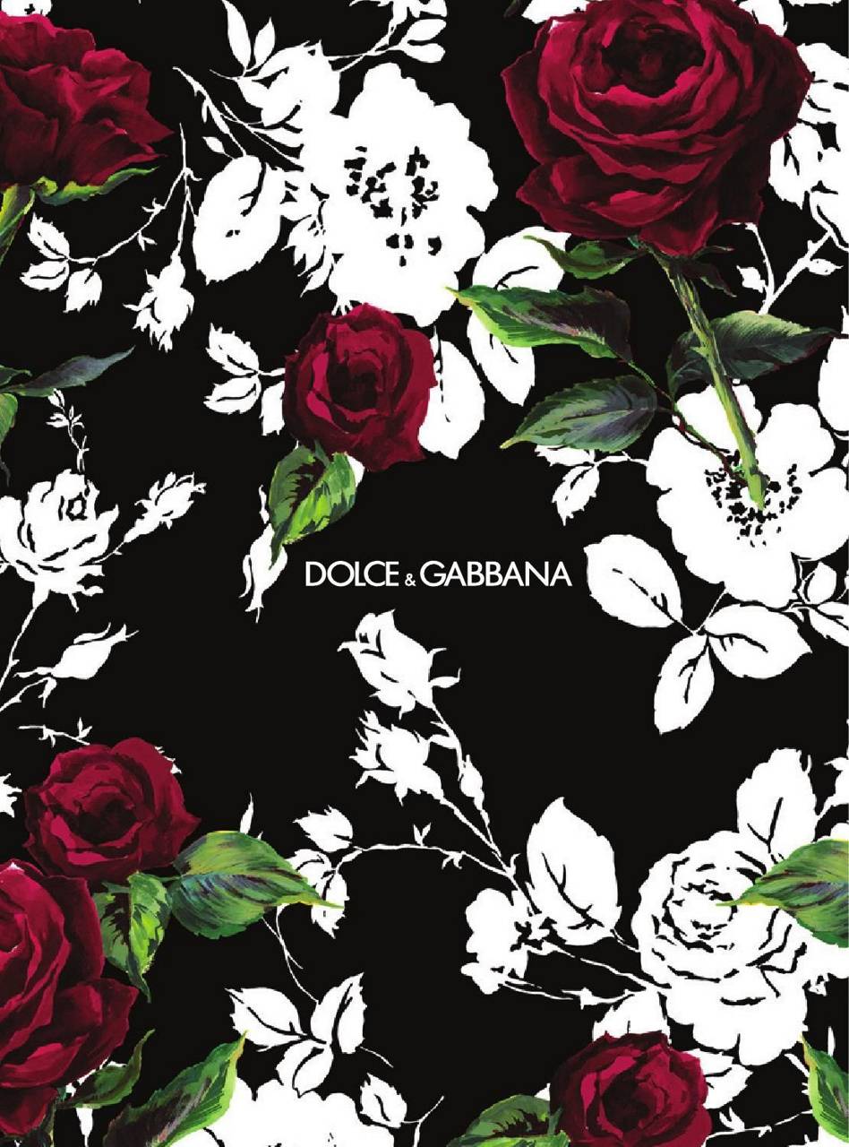 Dolce And Gabbana Wallpapers