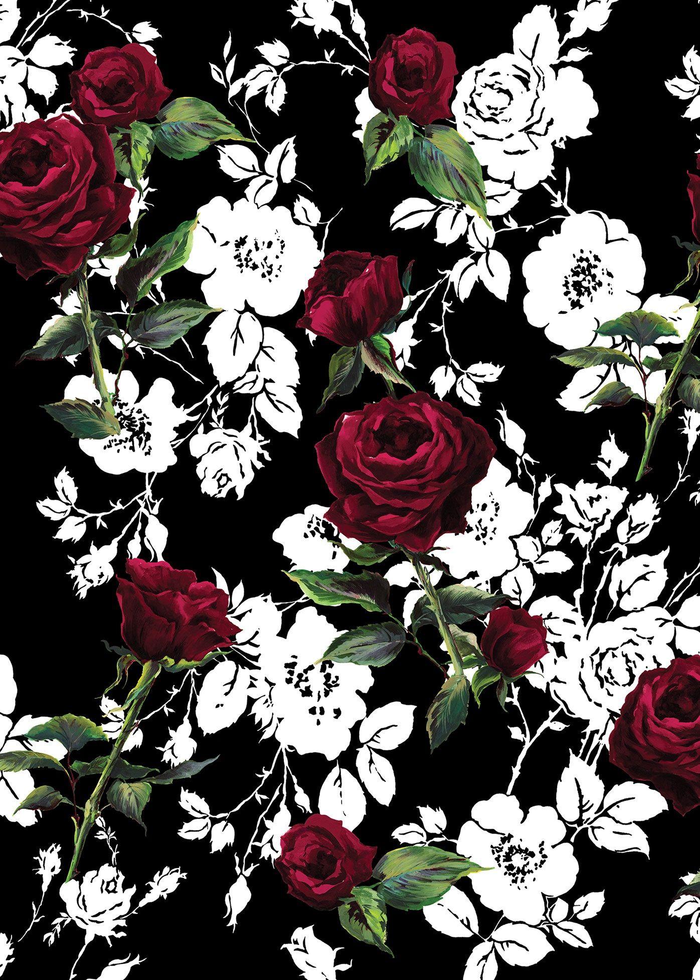 Dolce And Gabbana Wallpapers