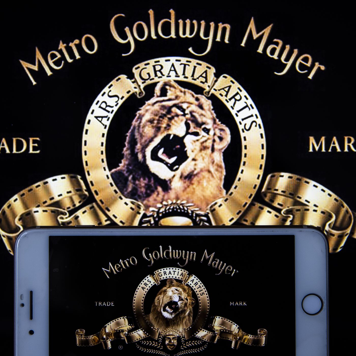 Mgm Holdings Wallpapers