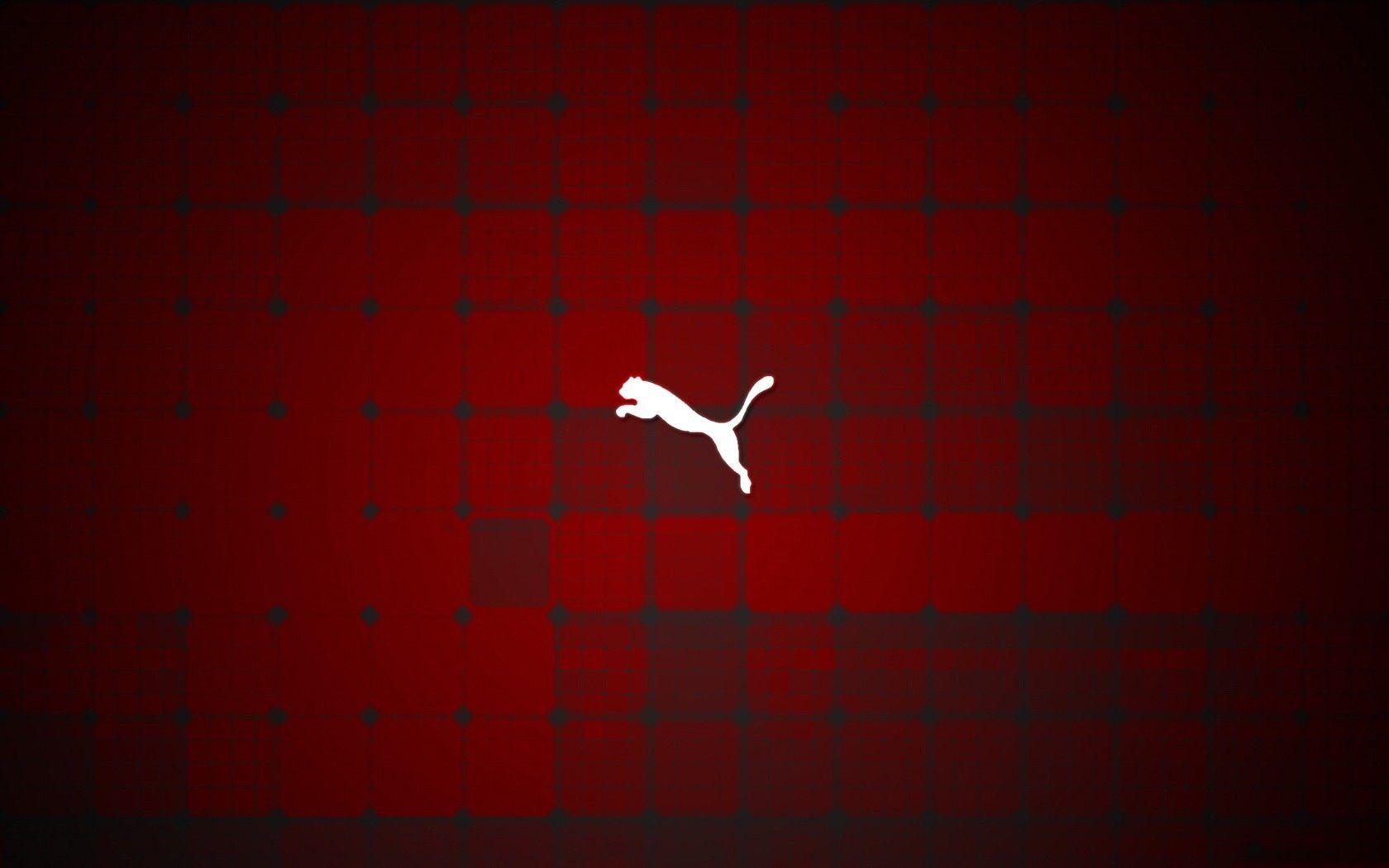 Puma Wallpapers