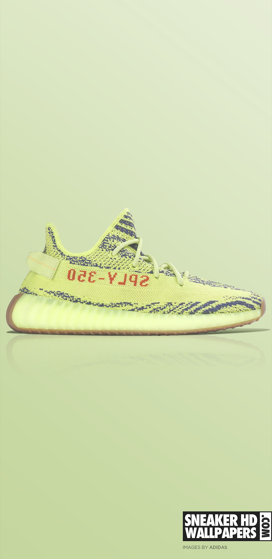 Yeezy Shoes Wallpapers