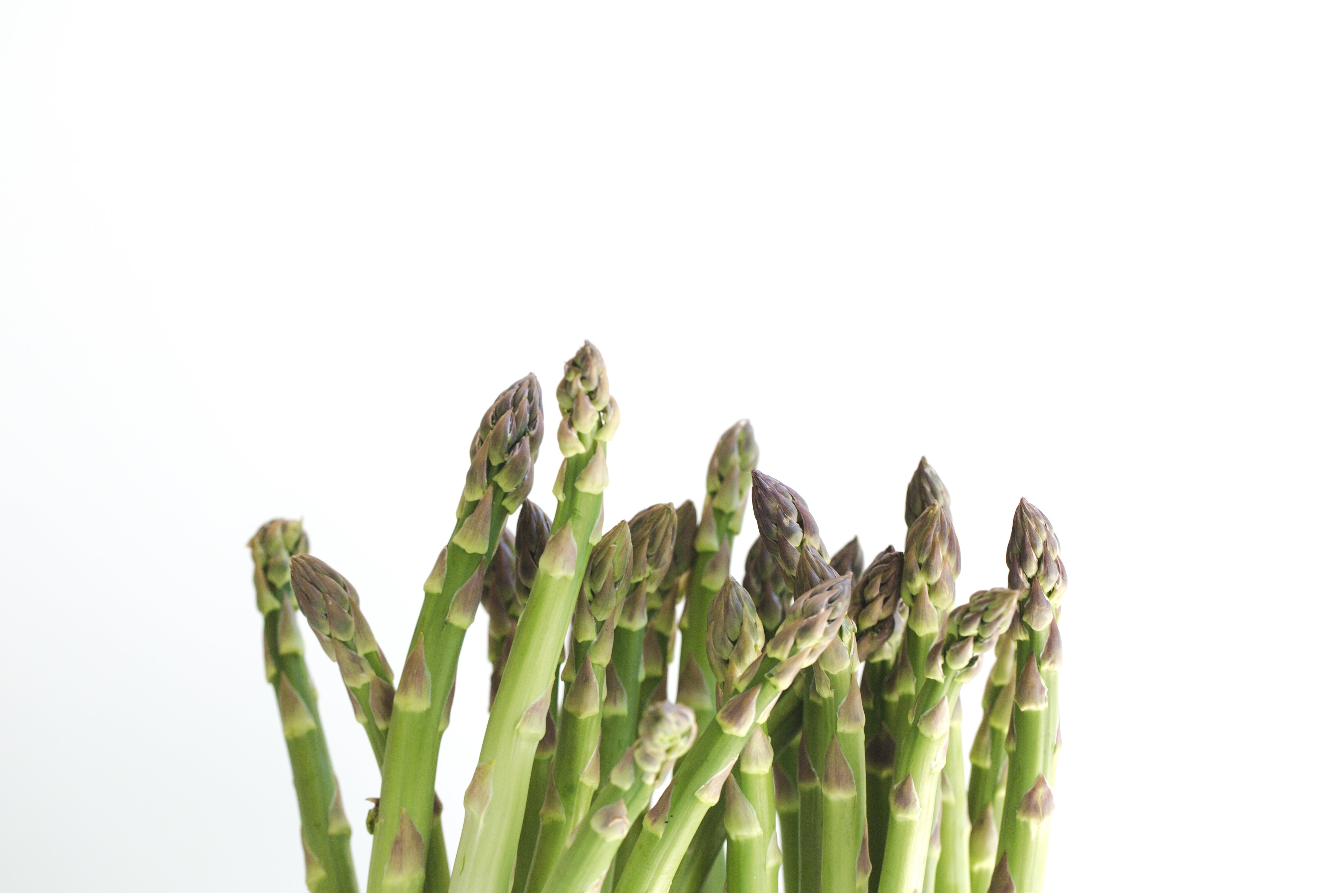 Asparagus Wallpapers