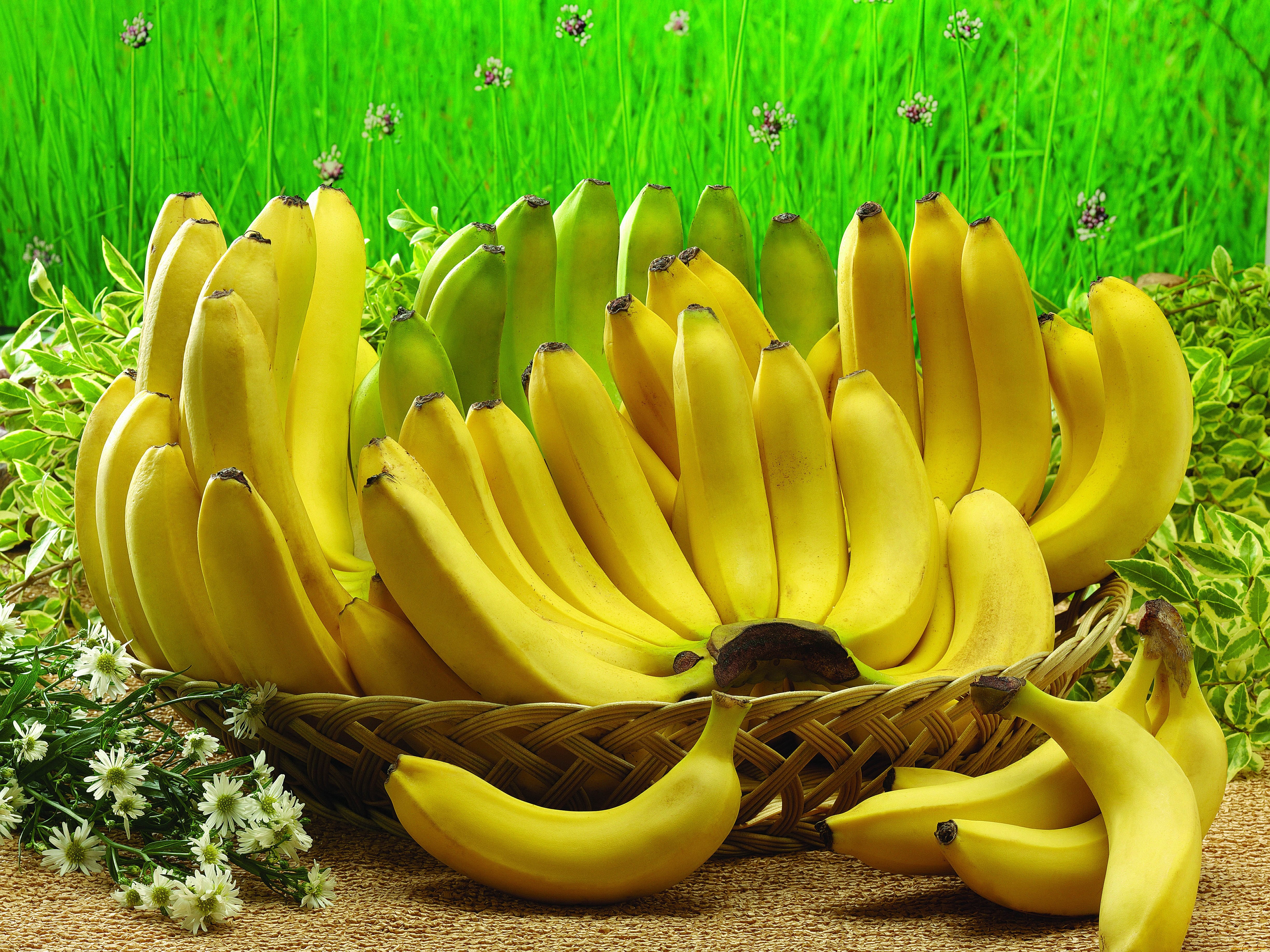 Banana Wallpapers