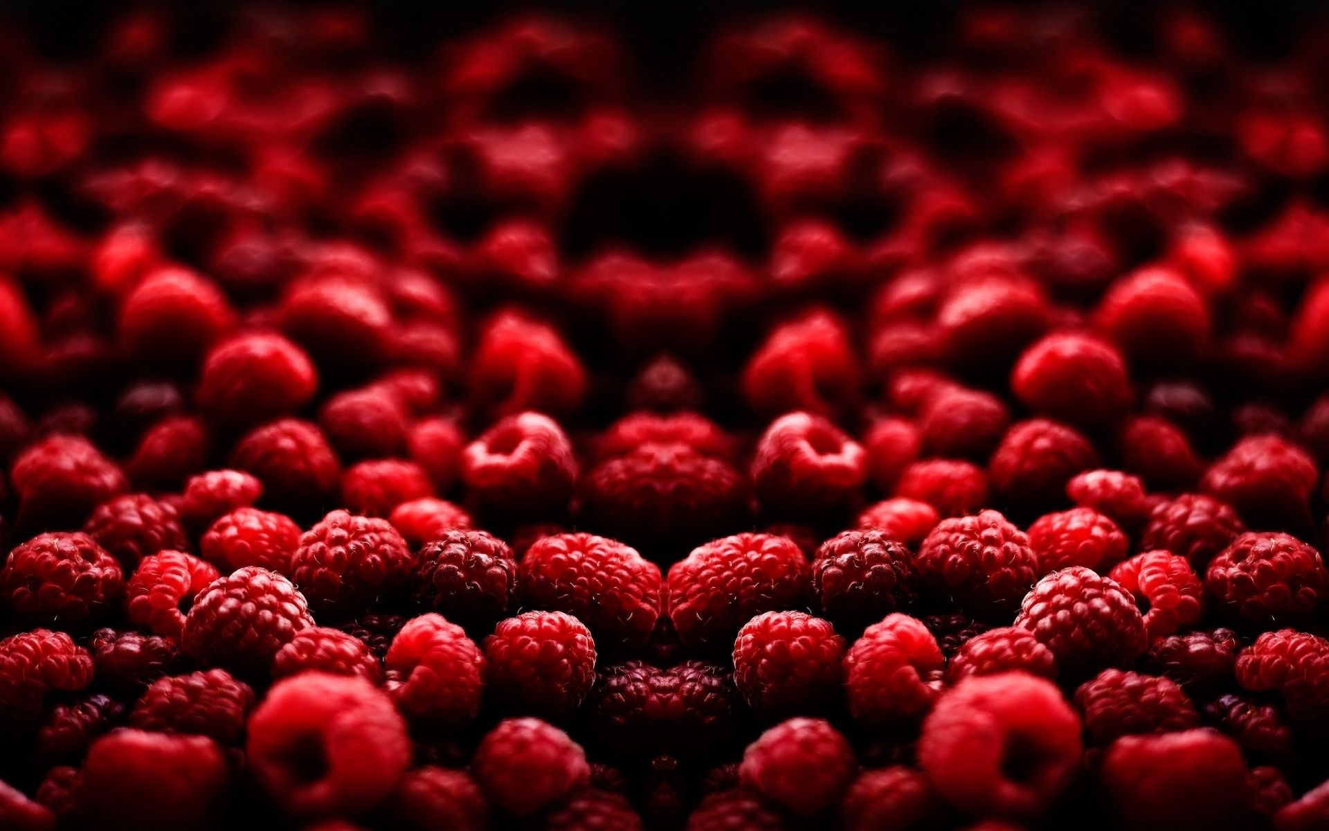 Berry Wallpapers