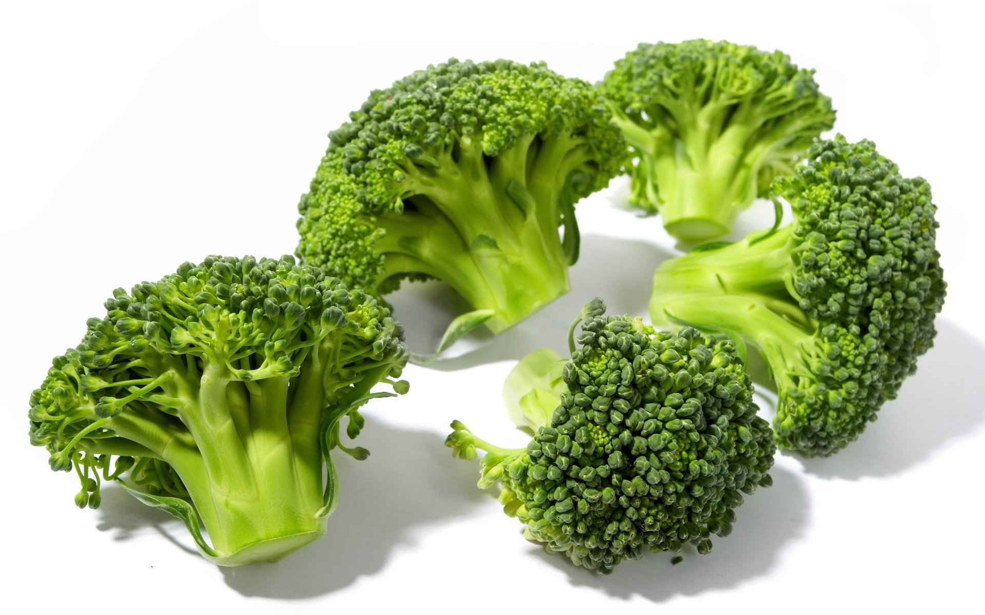 Broccoli Wallpapers