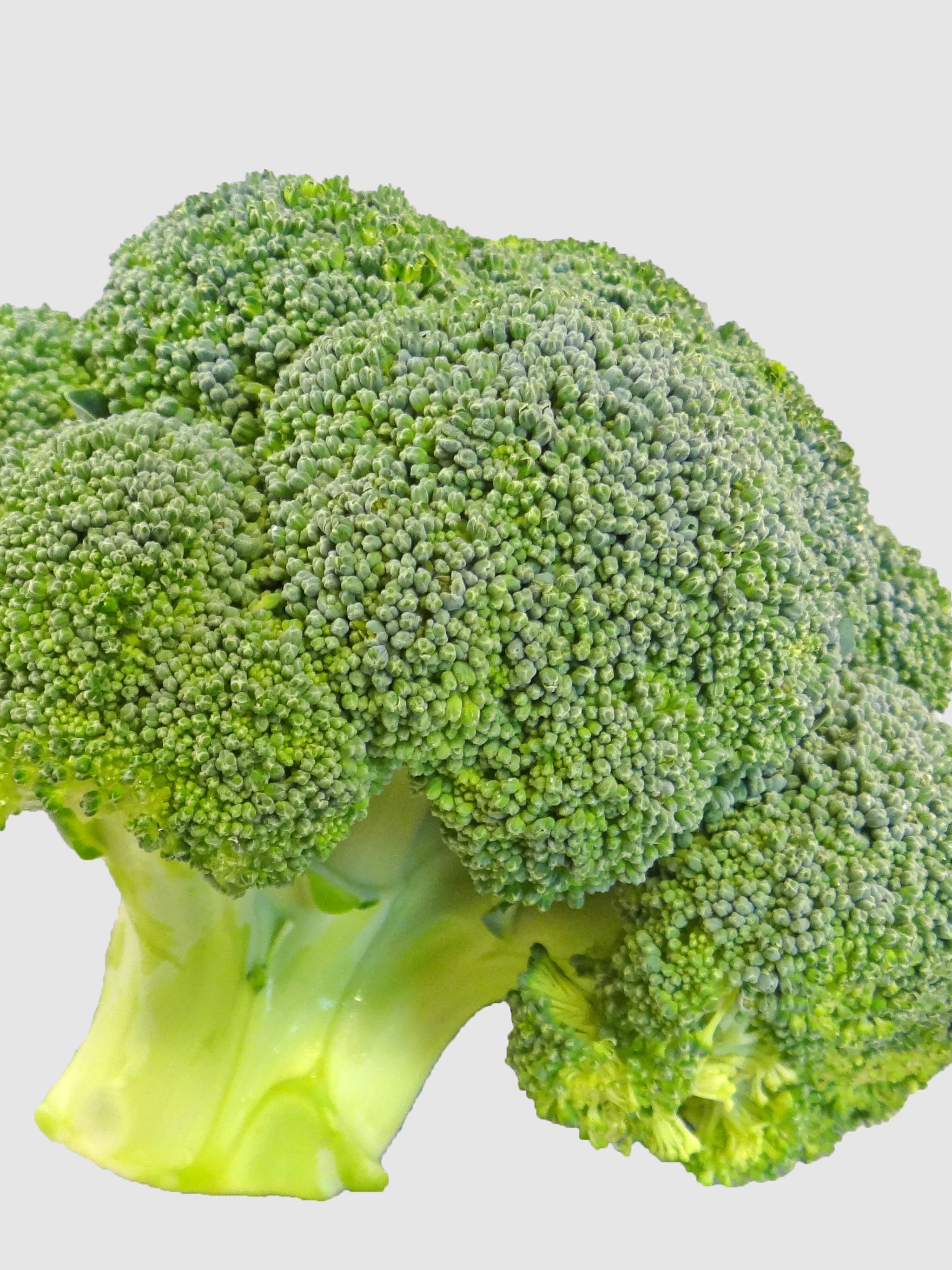 Broccoli Wallpapers