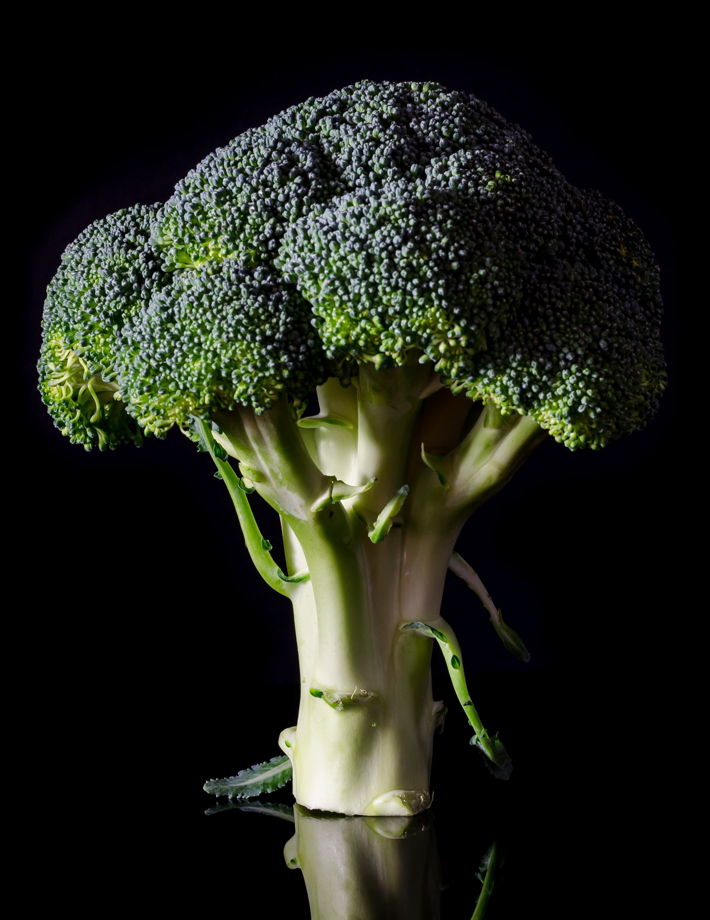 Broccoli Wallpapers