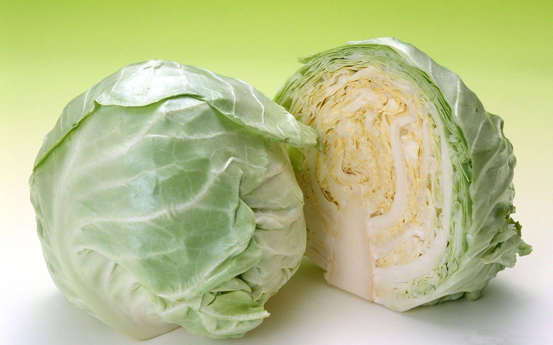 Cabbage Wallpapers