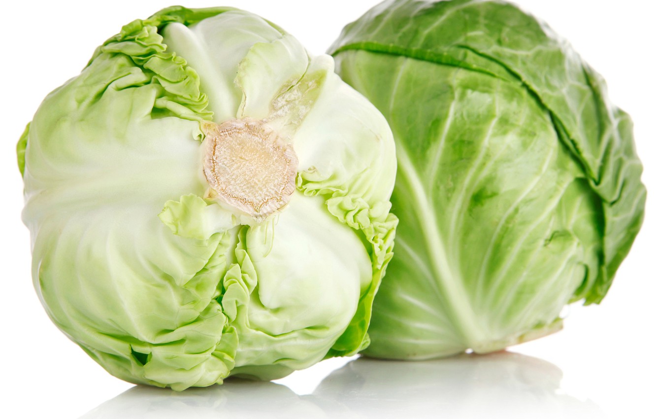 Cabbage Wallpapers