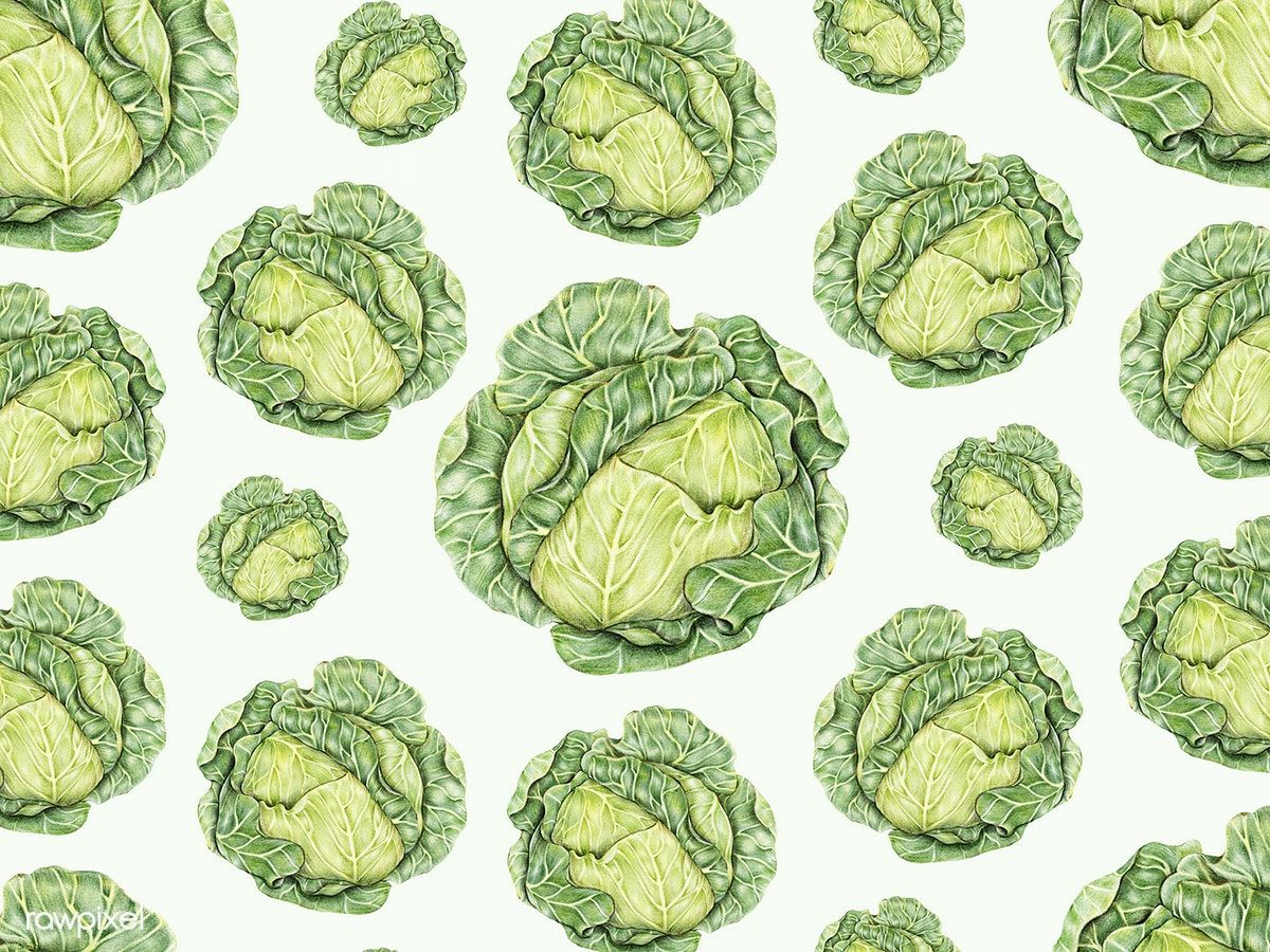 Cabbage Wallpapers