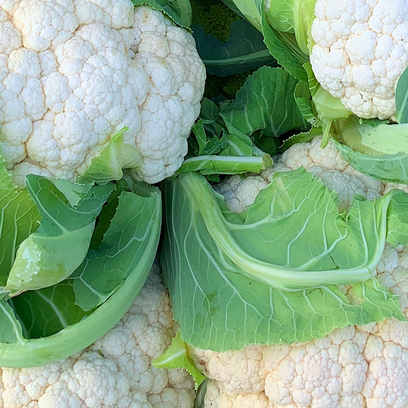 Cauliflower Wallpapers