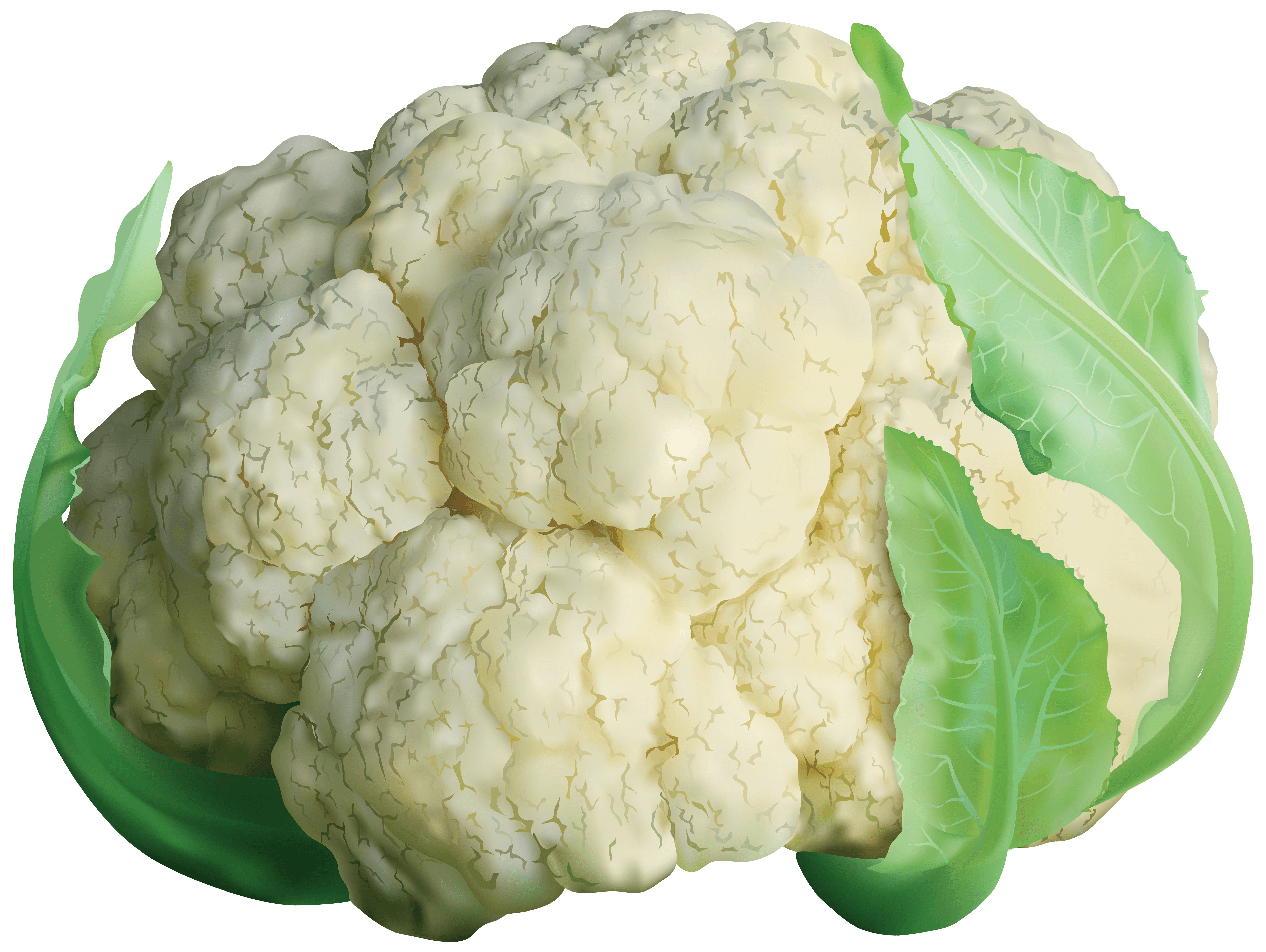 Cauliflower Wallpapers