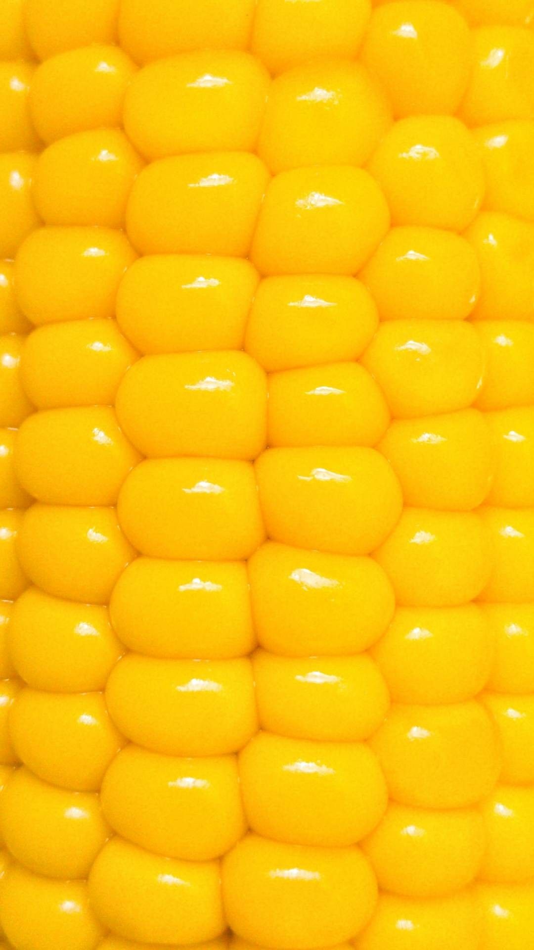 Corn Wallpapers