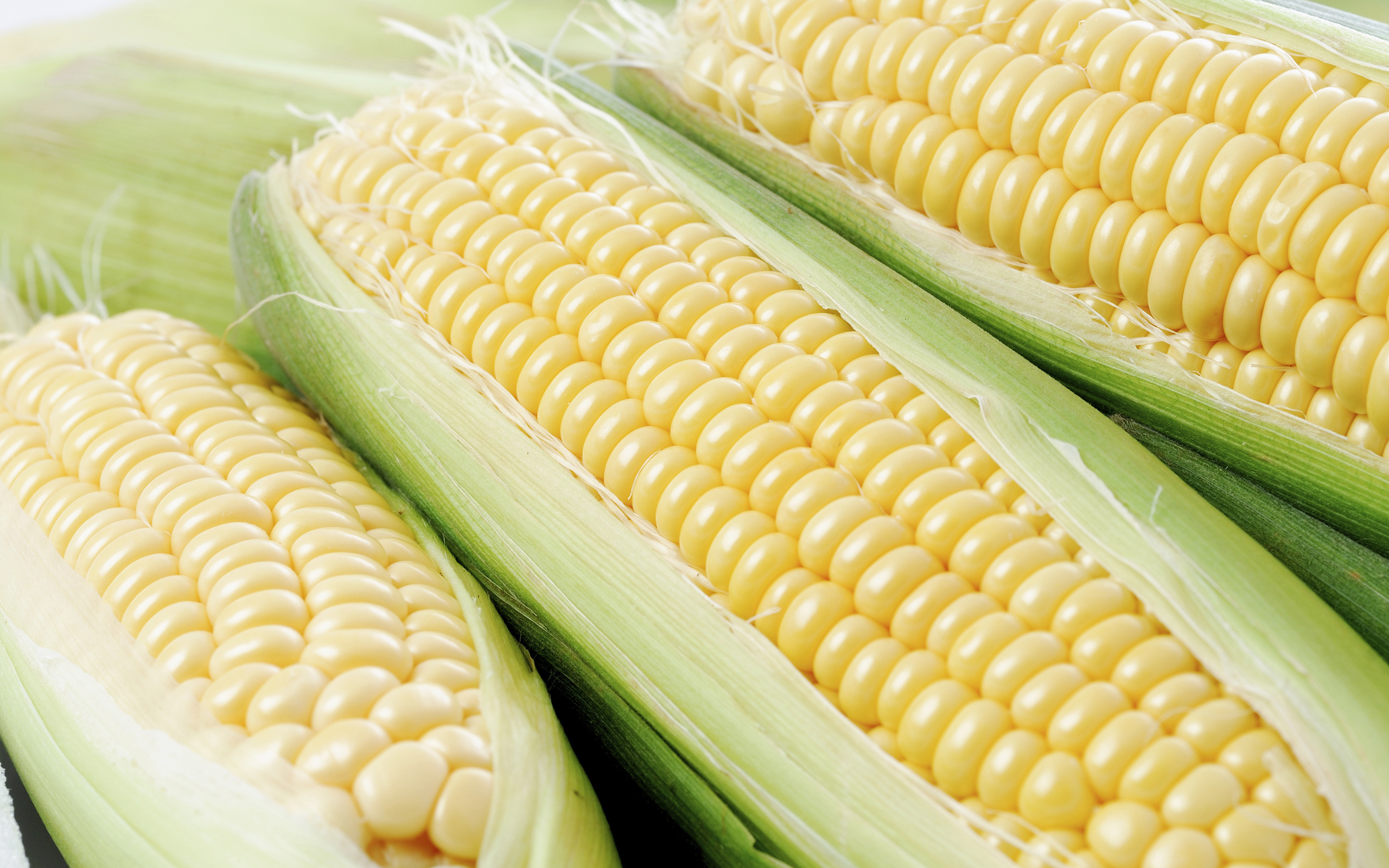 Corn Wallpapers