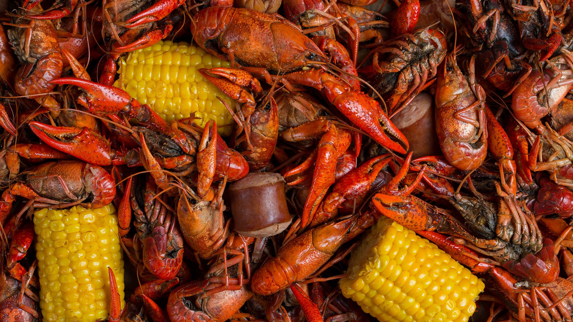 Crawfish Wallpapers