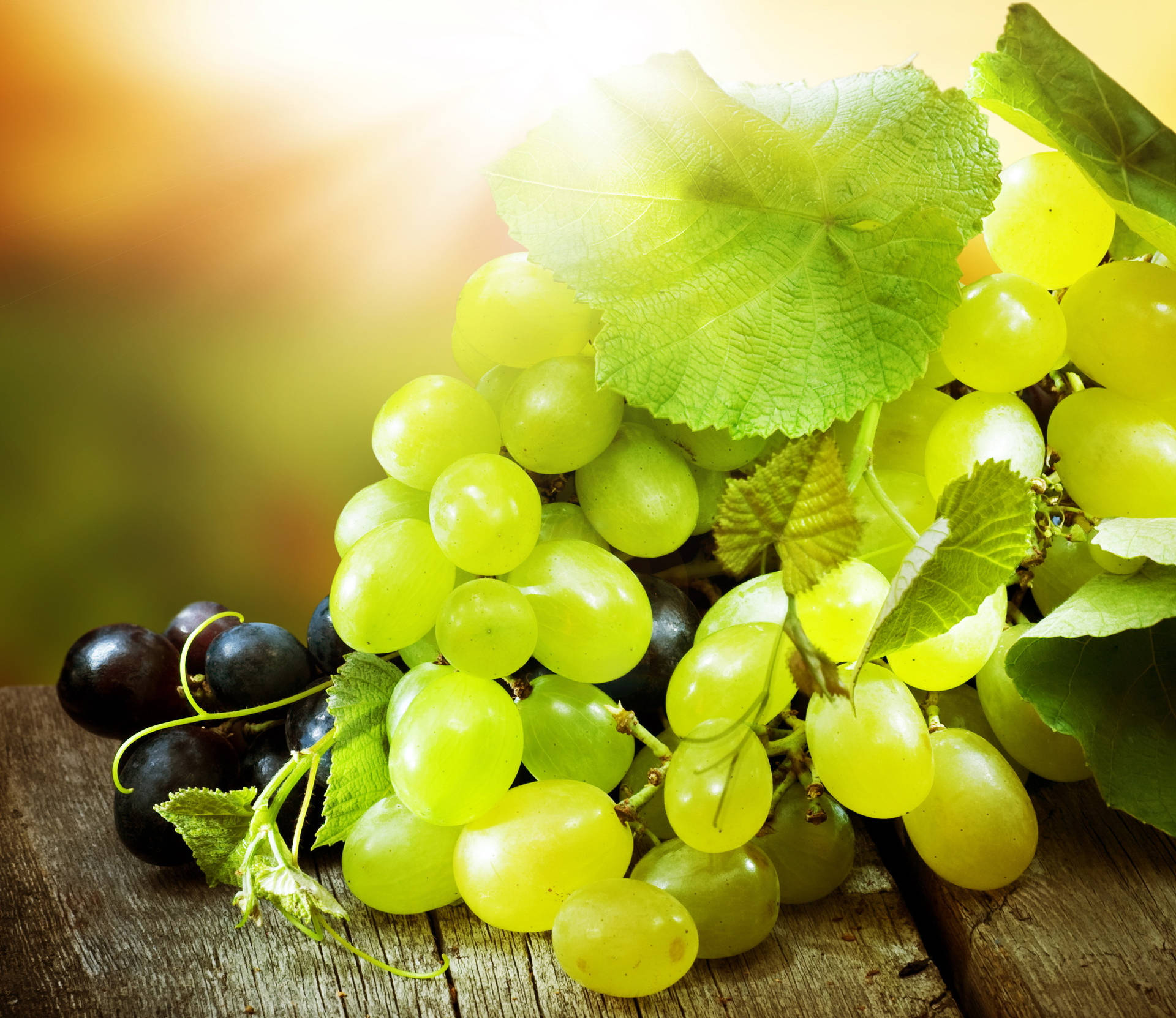 Grapes Wallpapers