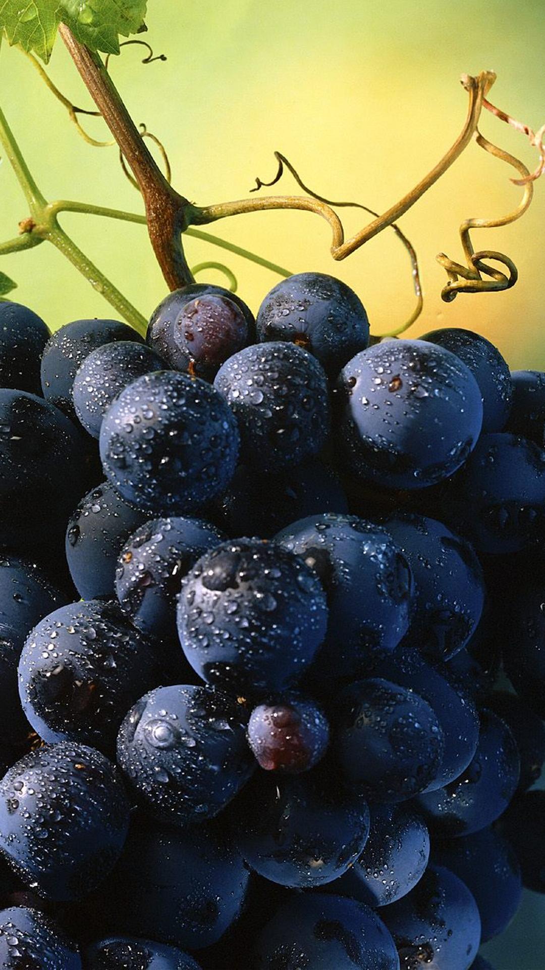 Grapes Wallpapers