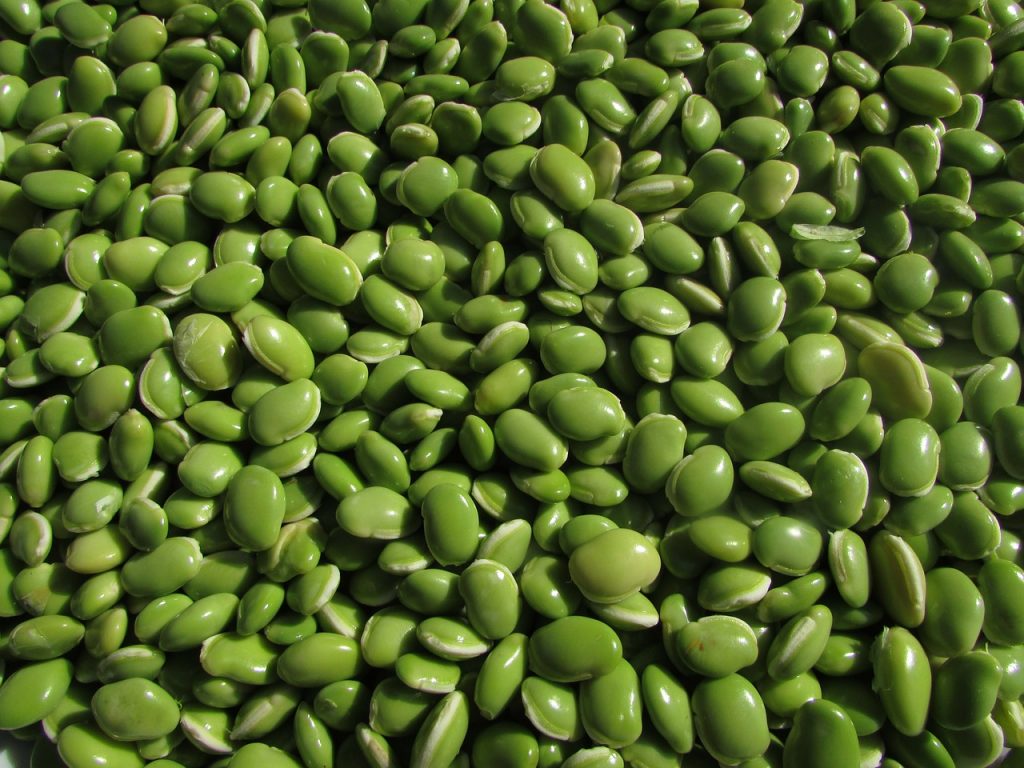 Lima Beans Wallpapers