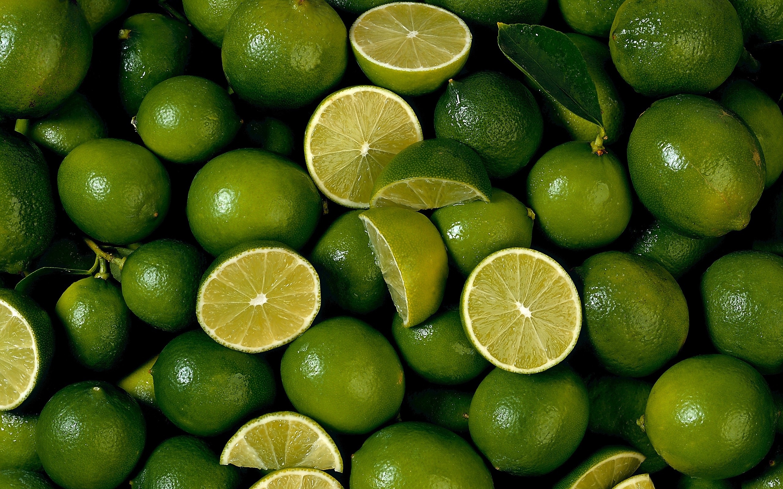 Lime Wallpapers