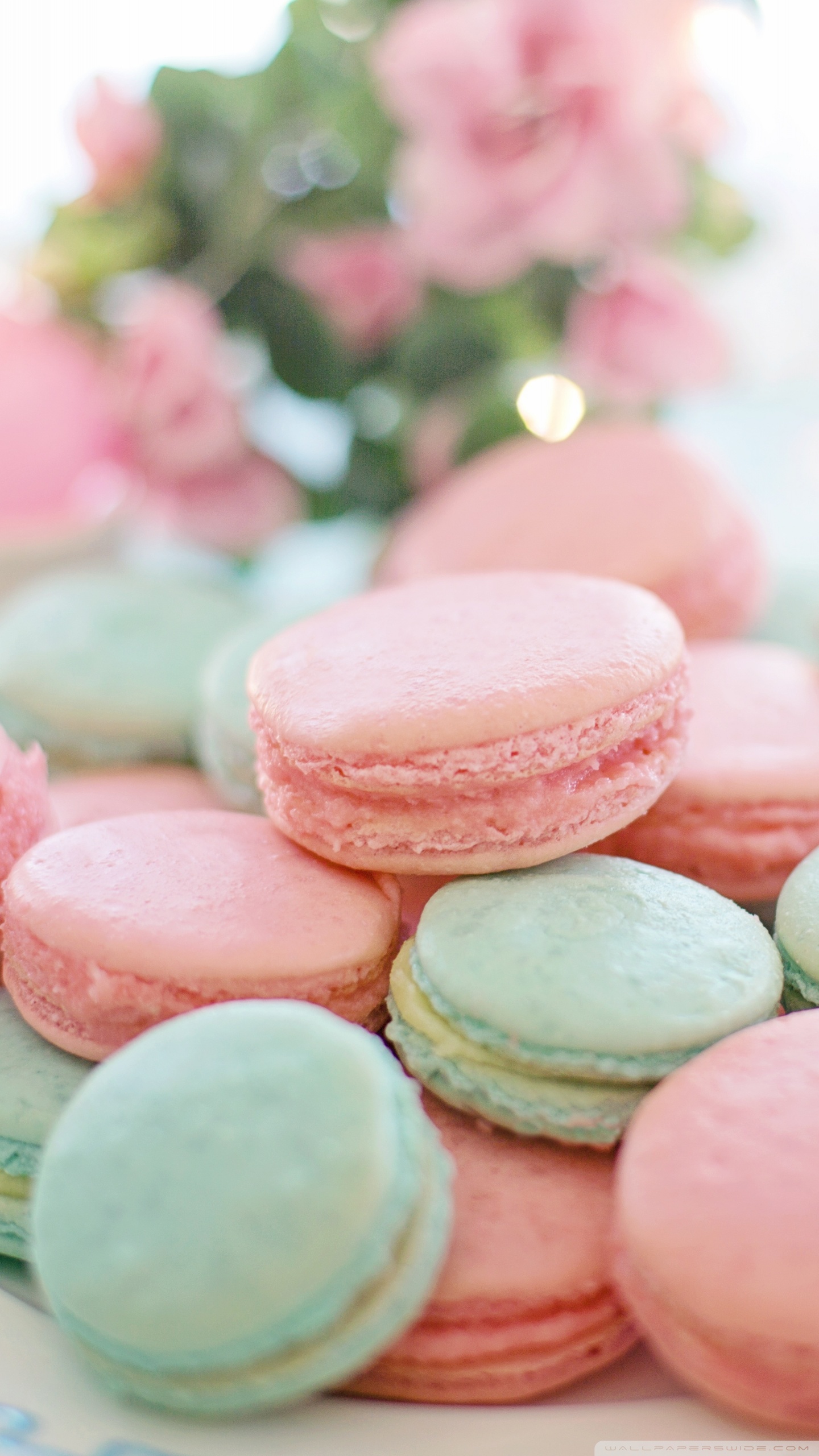 Macaron Wallpapers