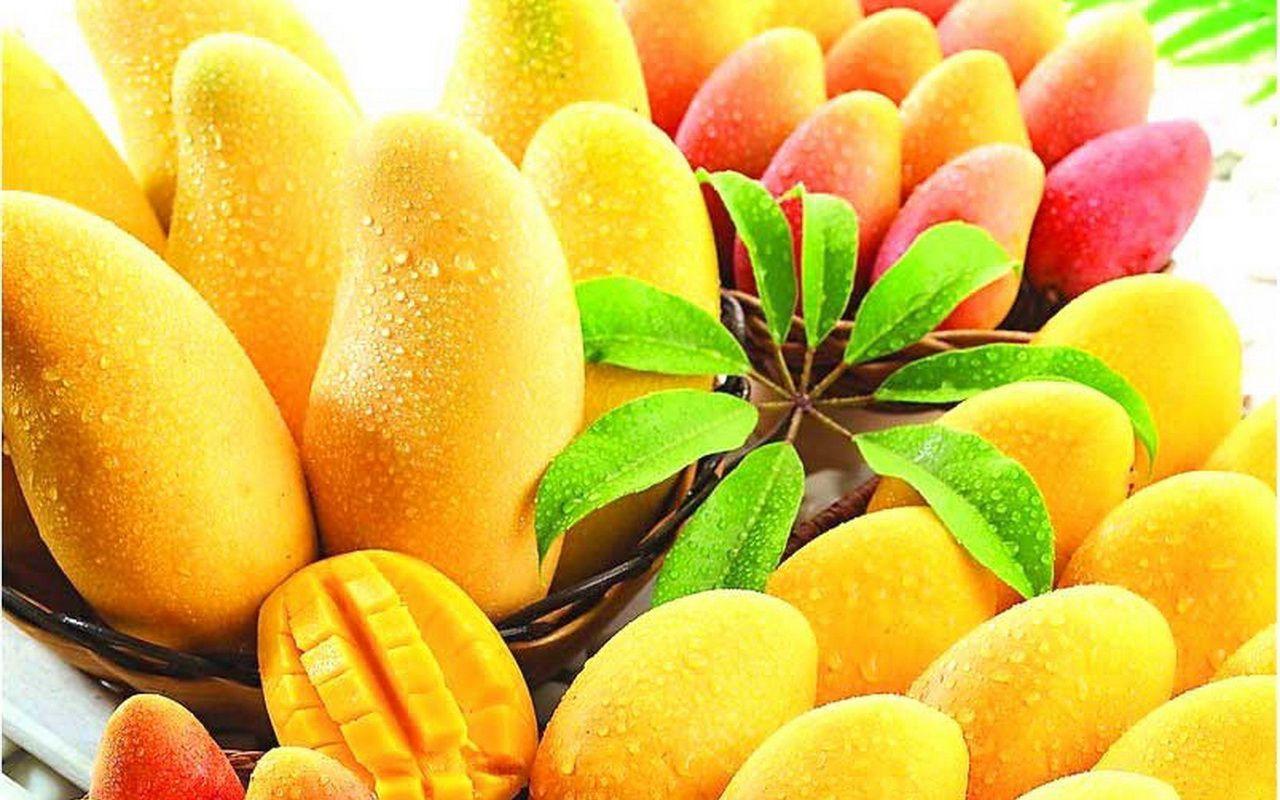 Mango Wallpapers