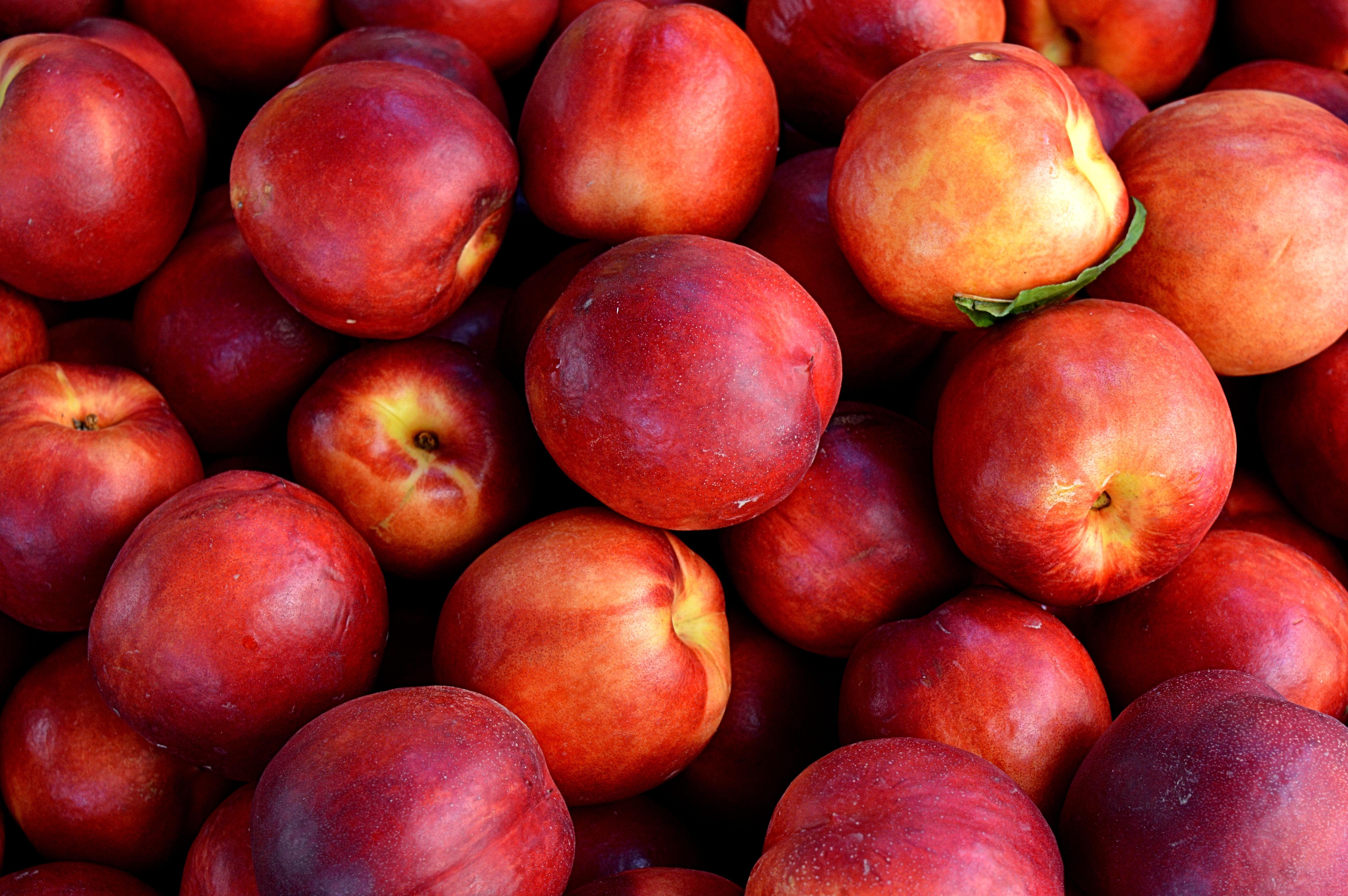 Nectarine Wallpapers