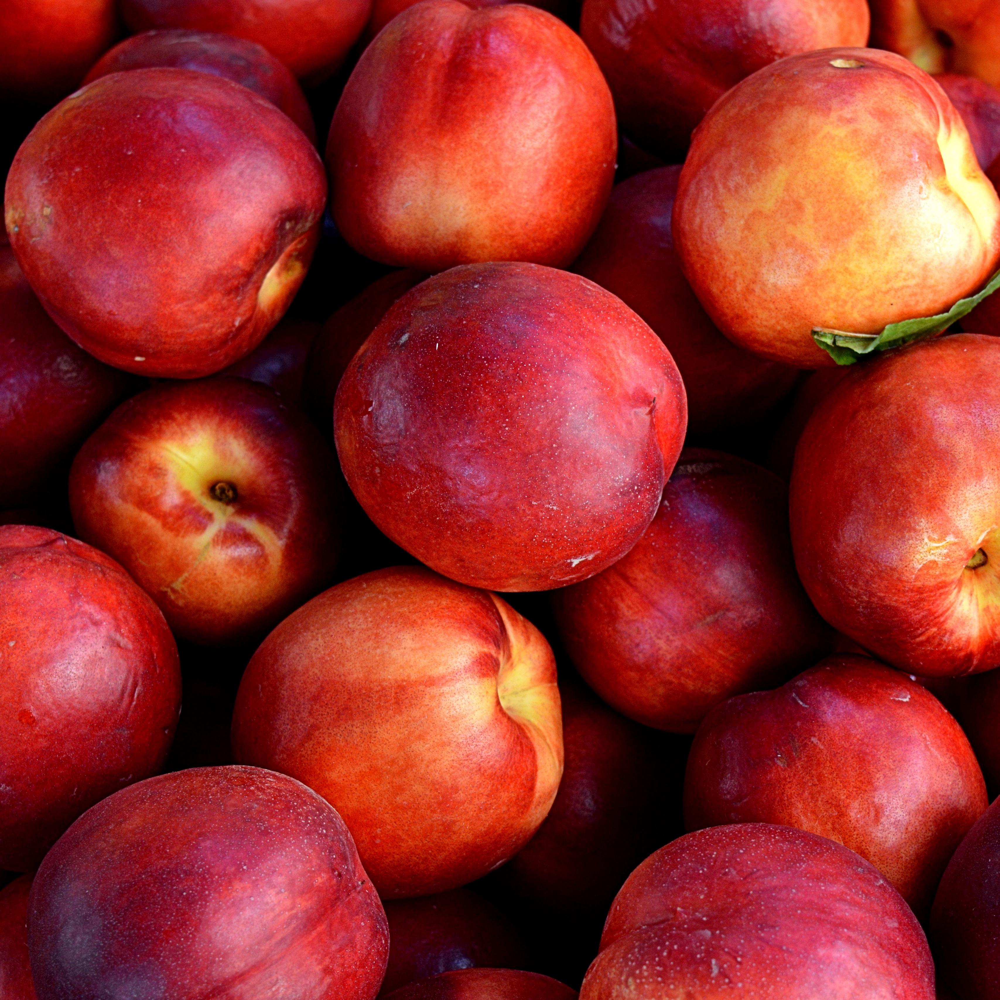 Nectarine Wallpapers