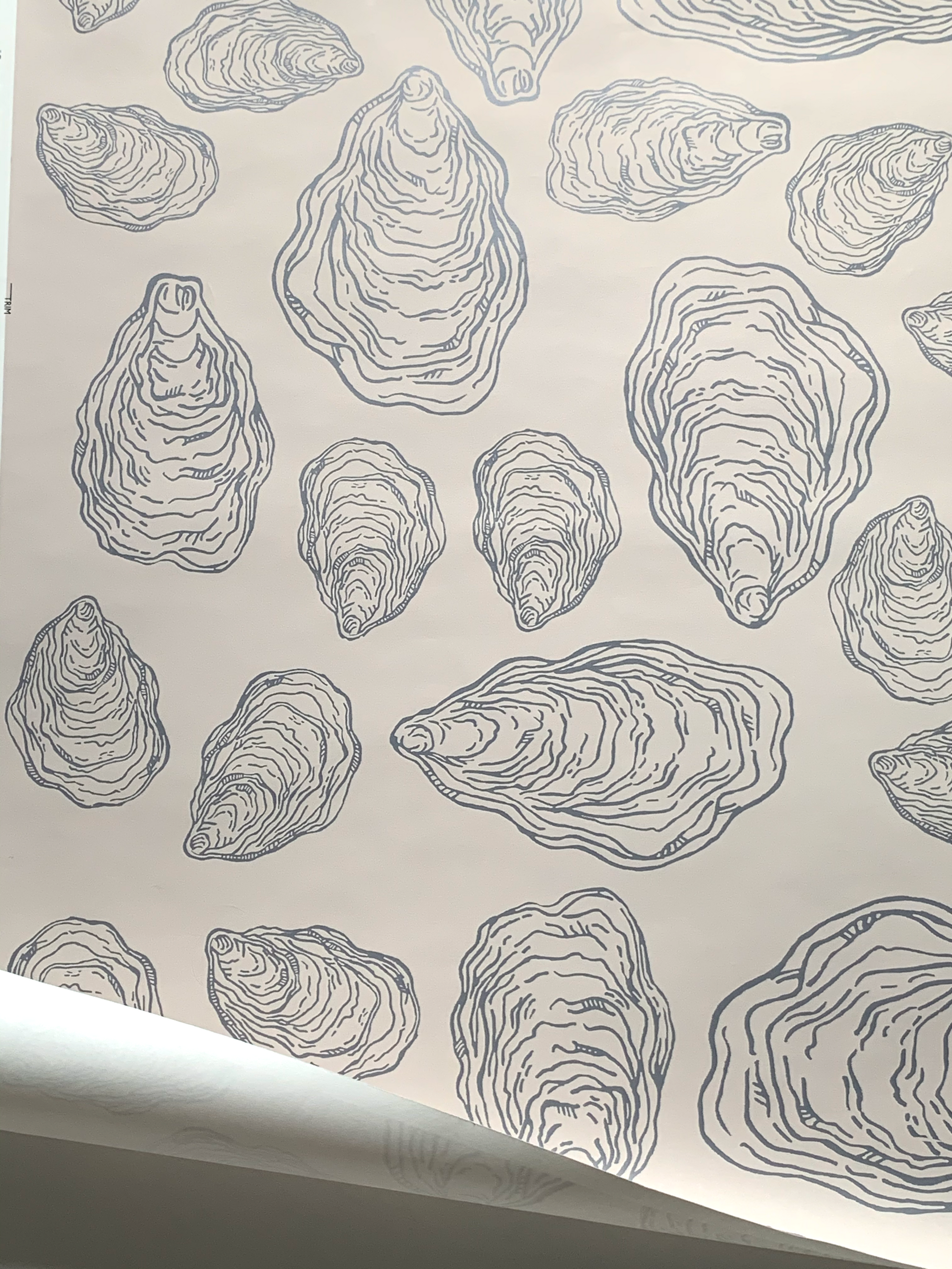 Oyster Wallpapers