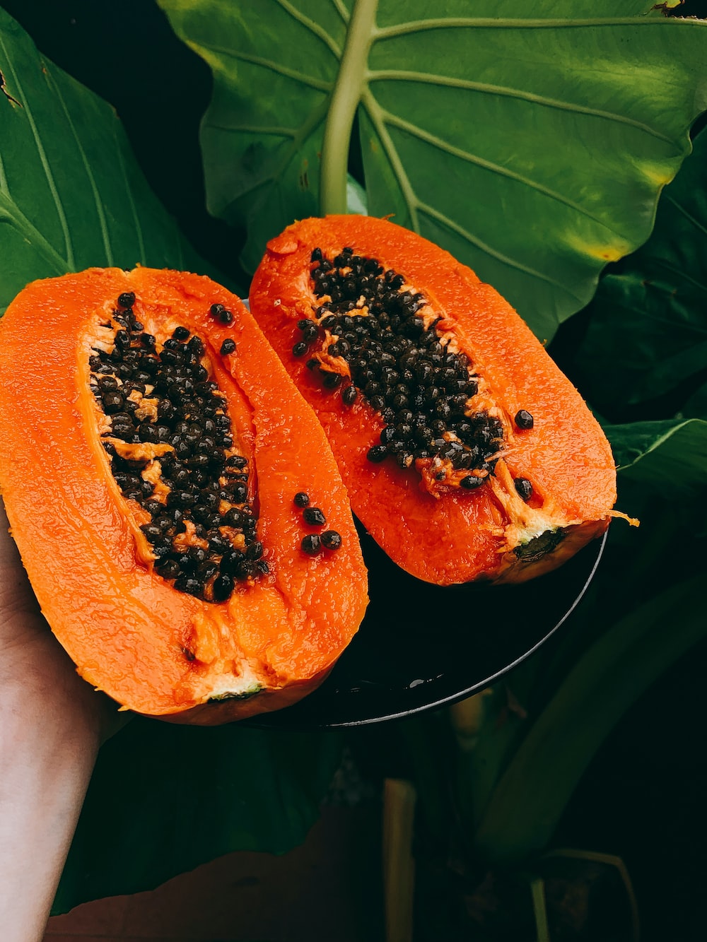 Papaya Wallpapers