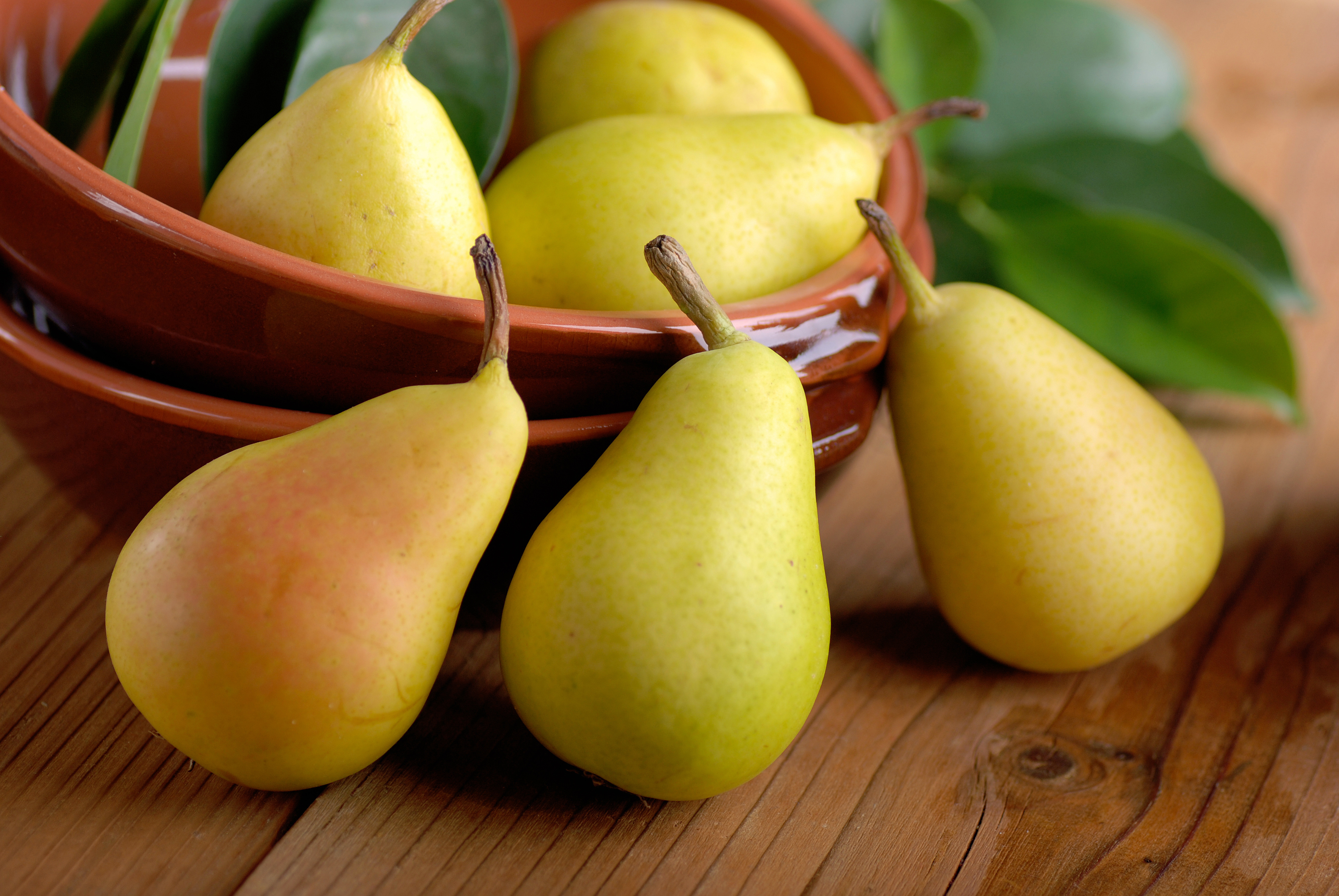 Pear Wallpapers