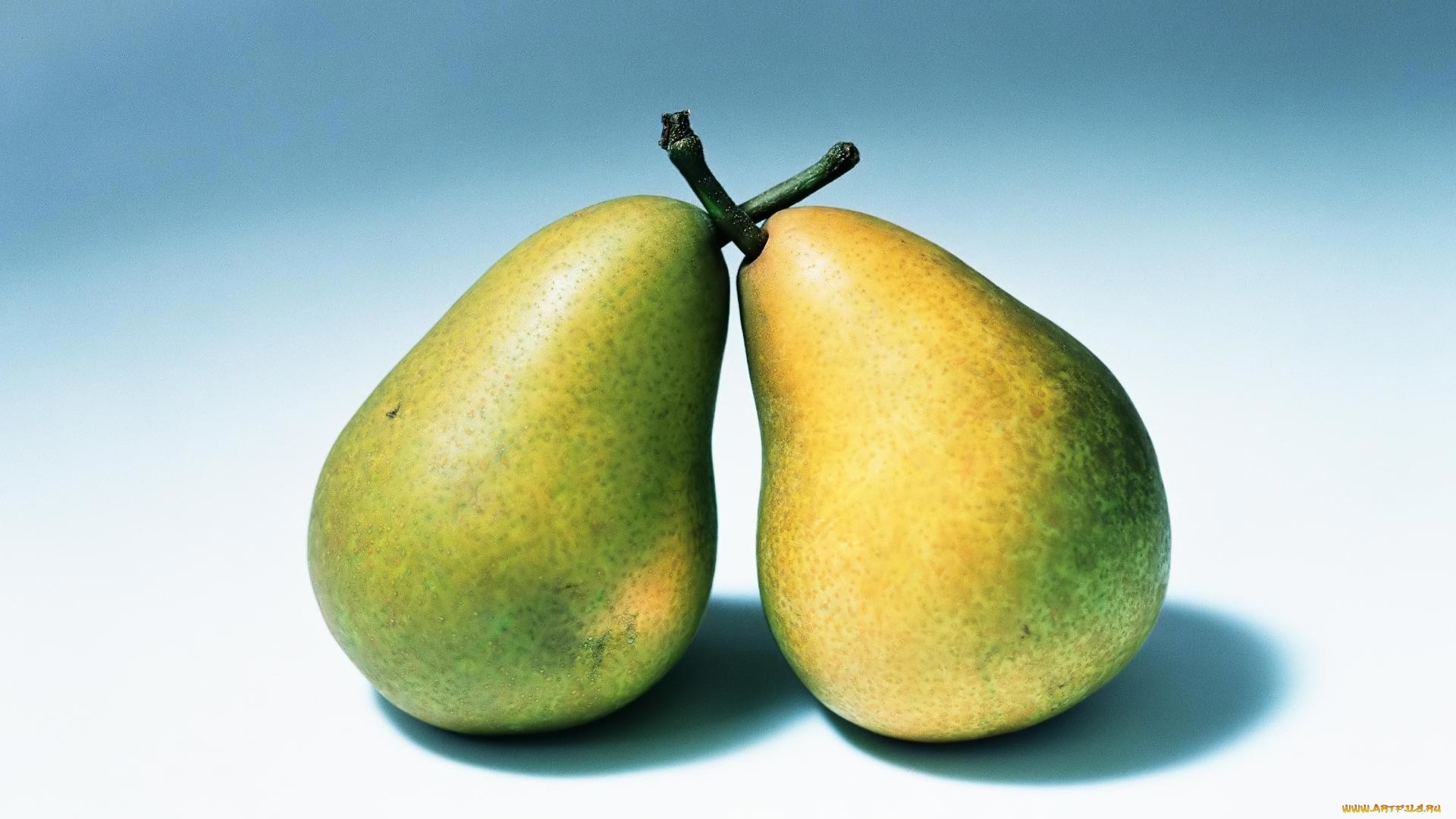 Pear Wallpapers