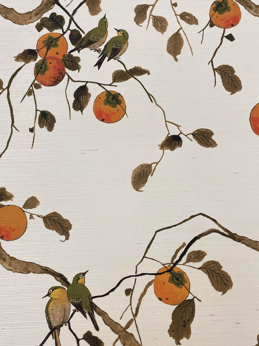 Persimmon Wallpapers