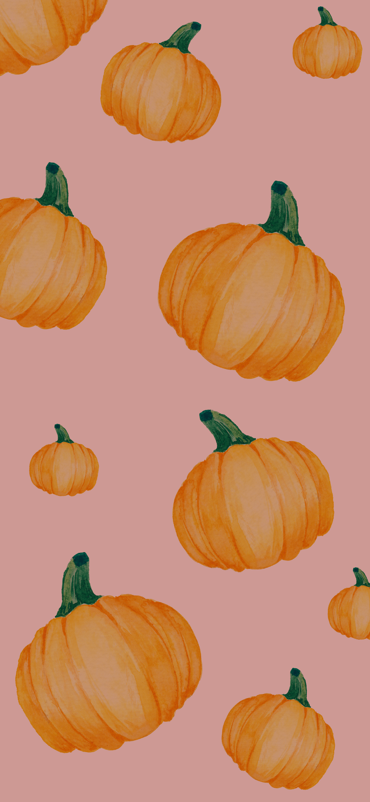 Pumpkin Wallpapers