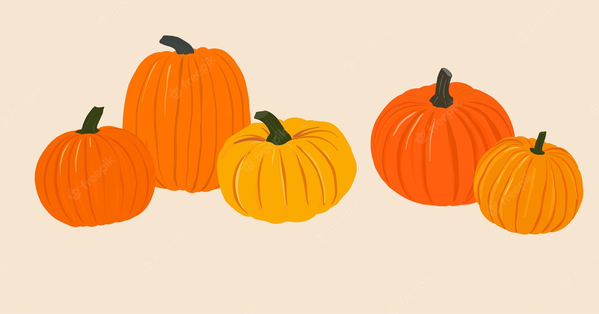 Pumpkin Wallpapers