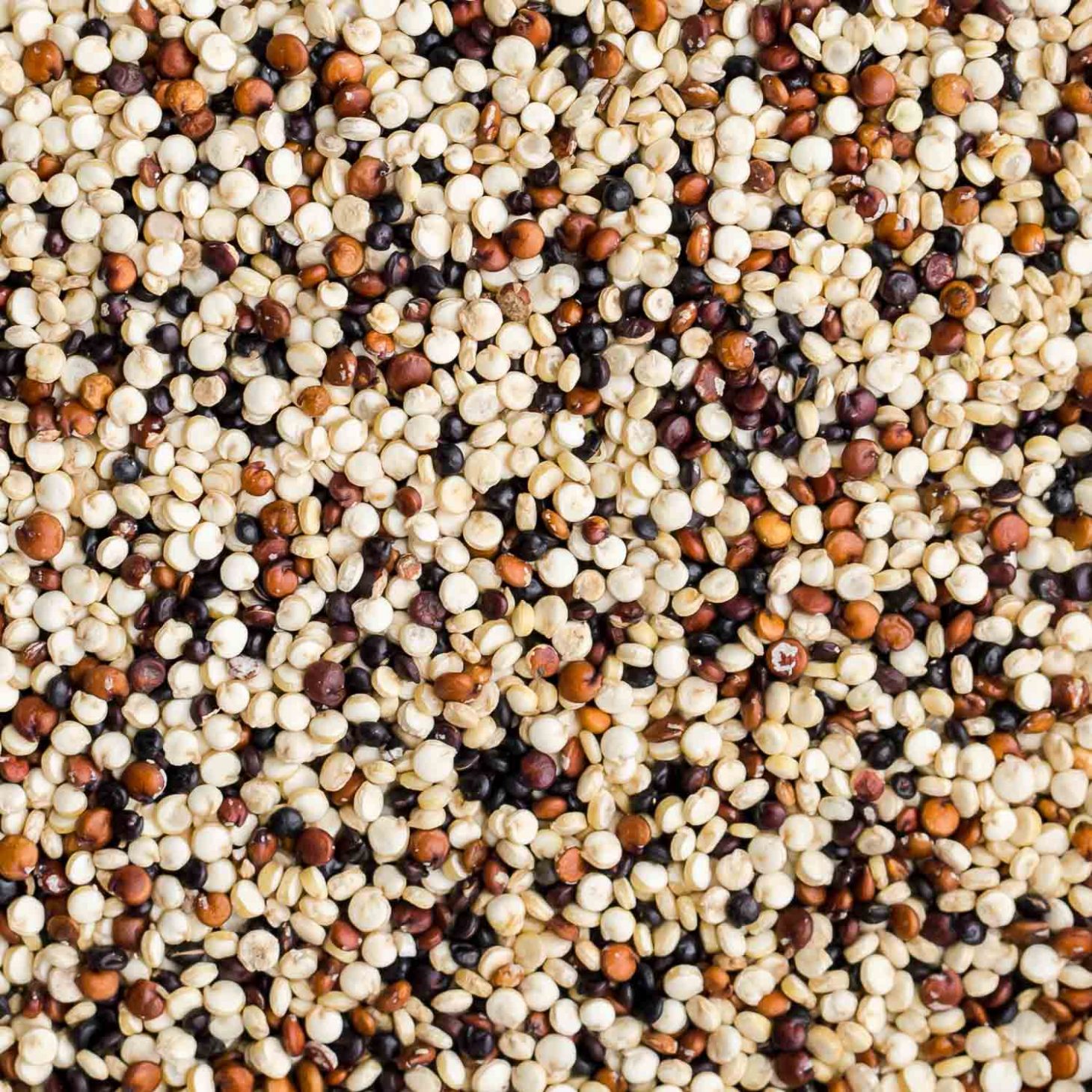 Quinoa Wallpapers