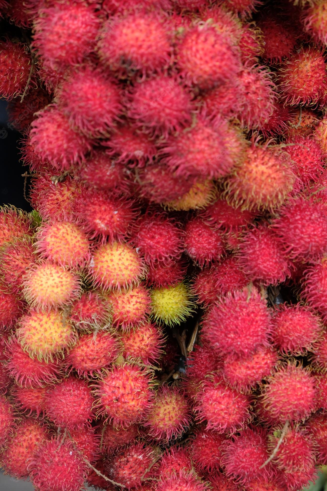 Rambutan Wallpapers