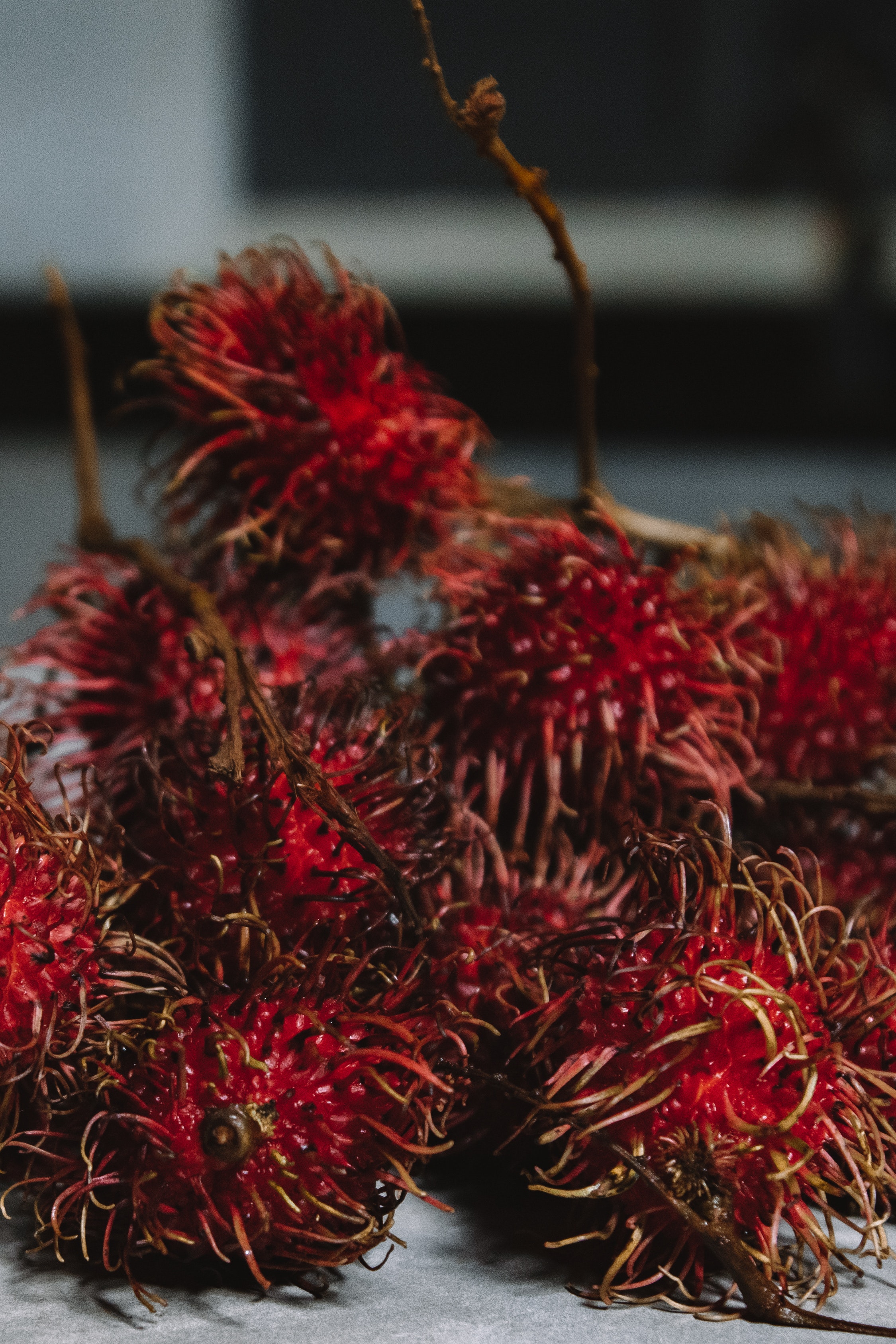 Rambutan Wallpapers