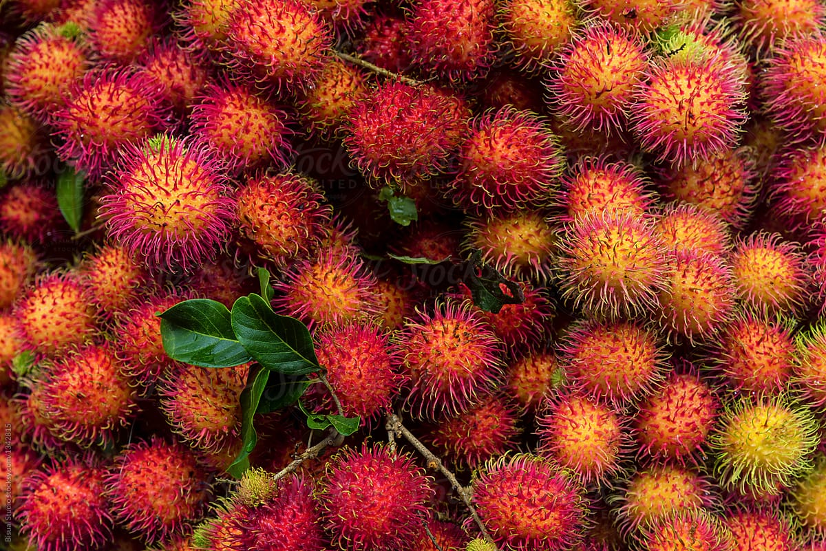 Rambutan Wallpapers