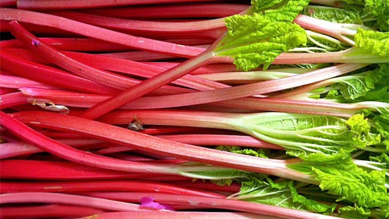 Rhubarb Wallpapers