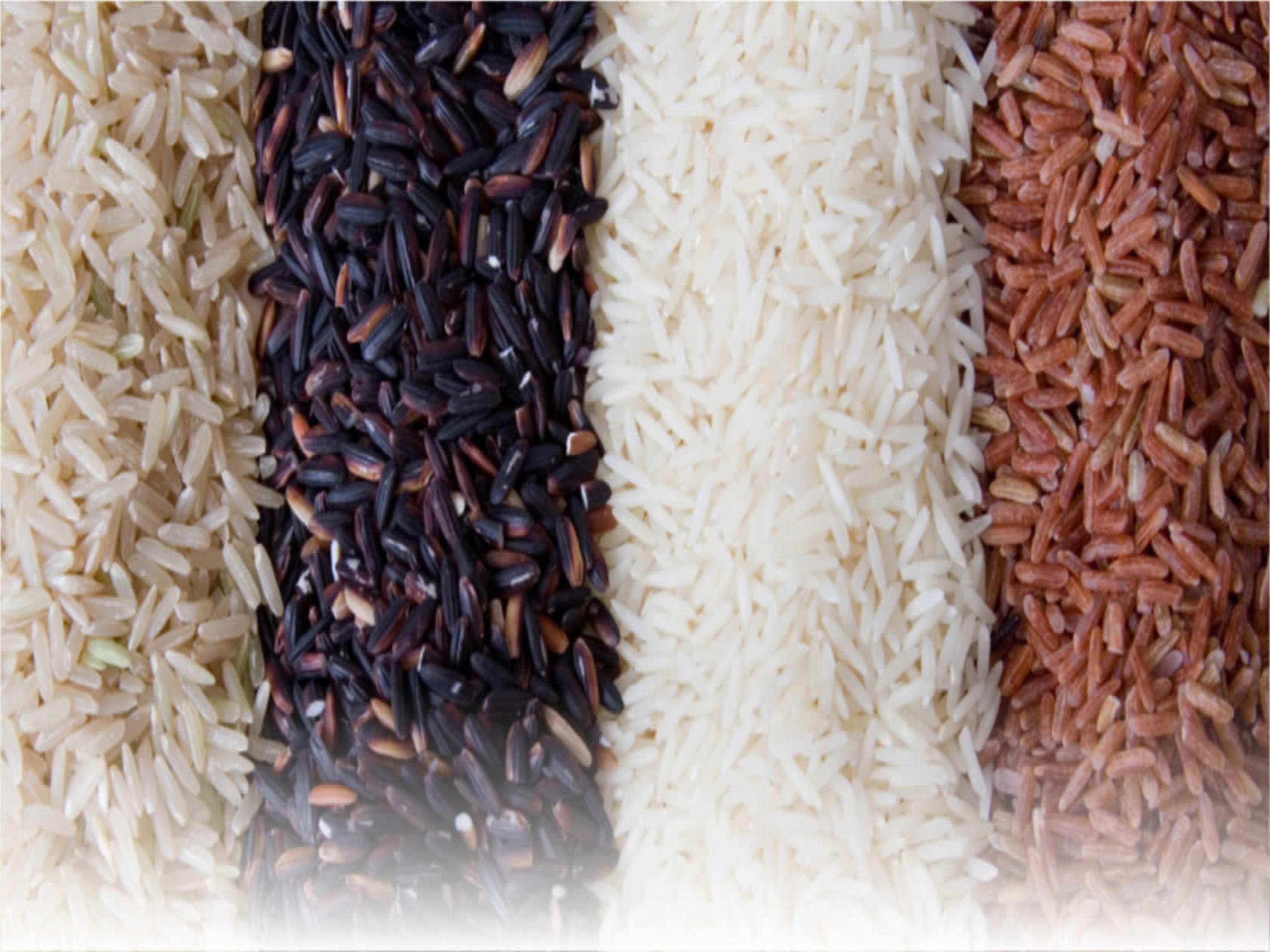 Rice Wallpapers