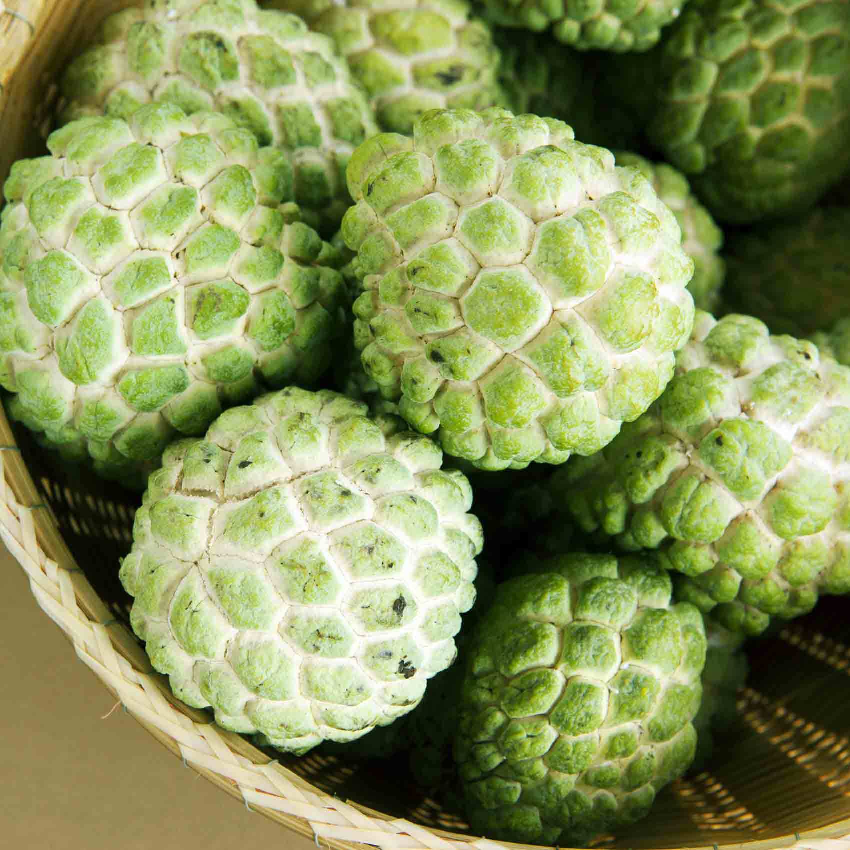 Sugar Apple Wallpapers