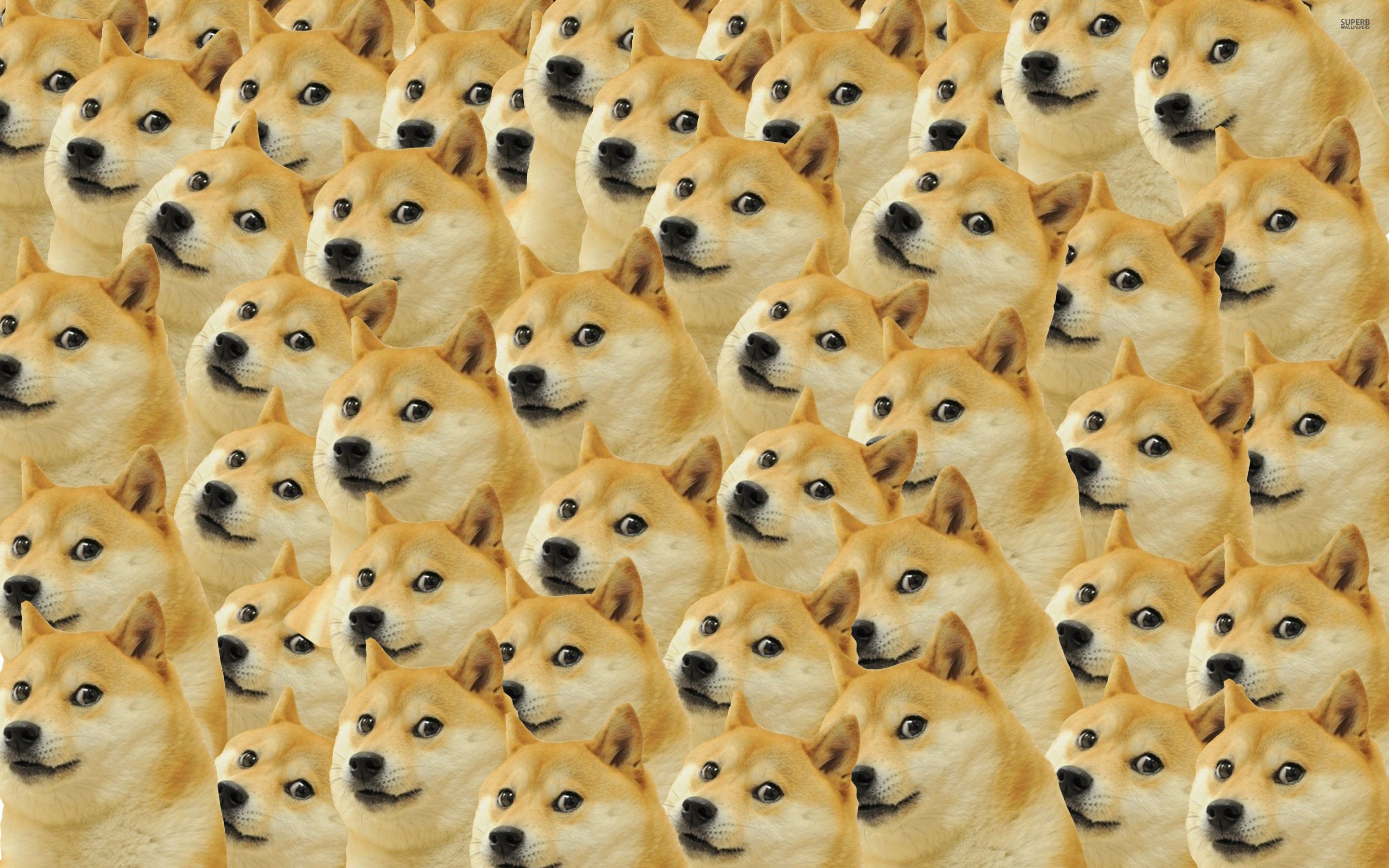 Dogecoin Technology Wallpapers