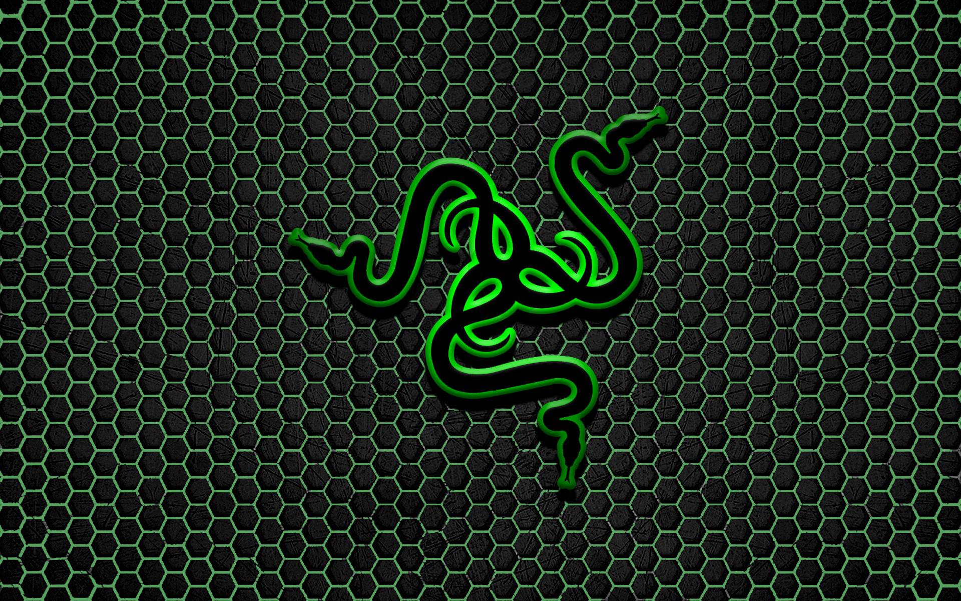 Green Python Hd Razer Wallpapers