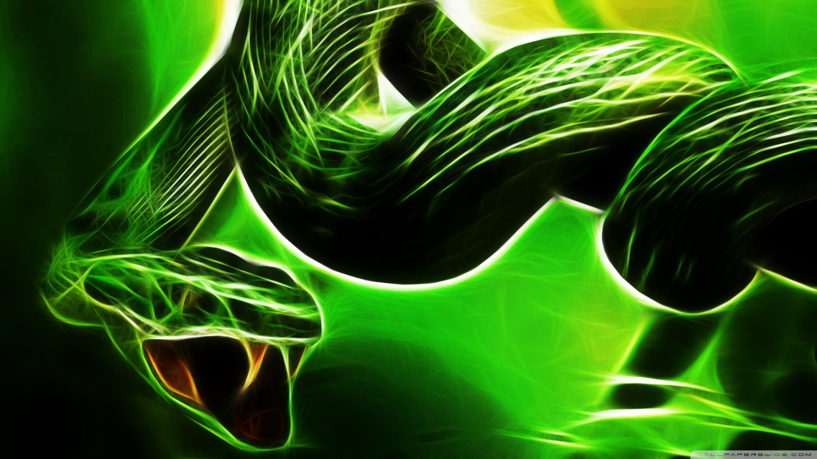 Green Python Hd Razer Wallpapers