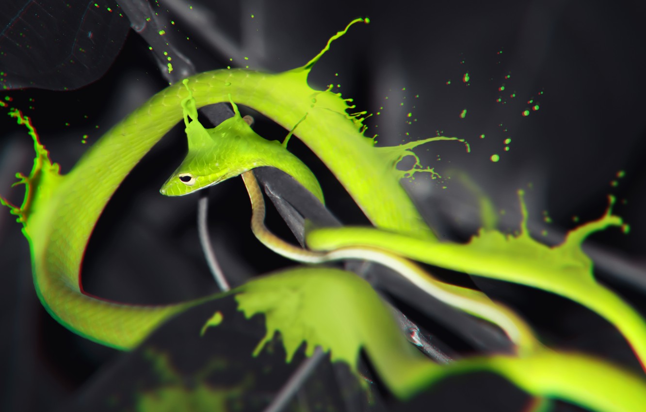 Green Python Hd Razer Wallpapers