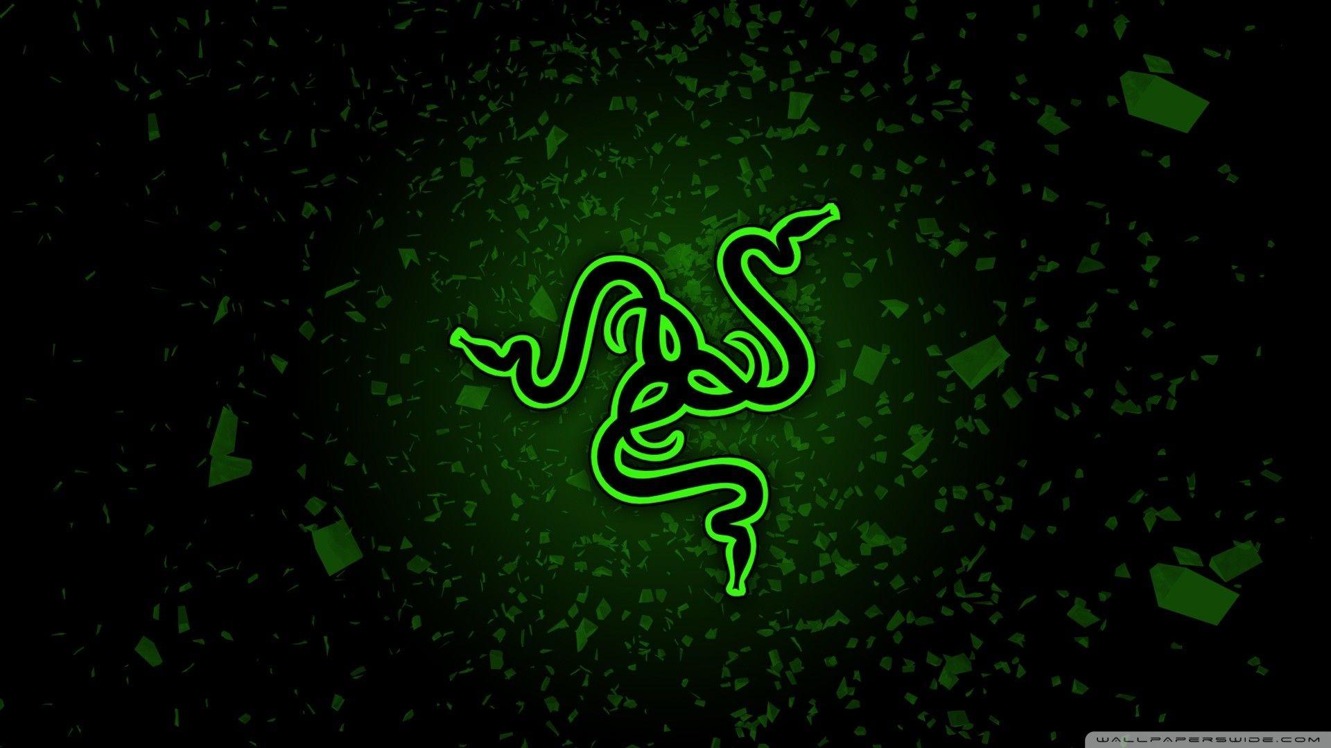 Green Python Hd Razer Wallpapers